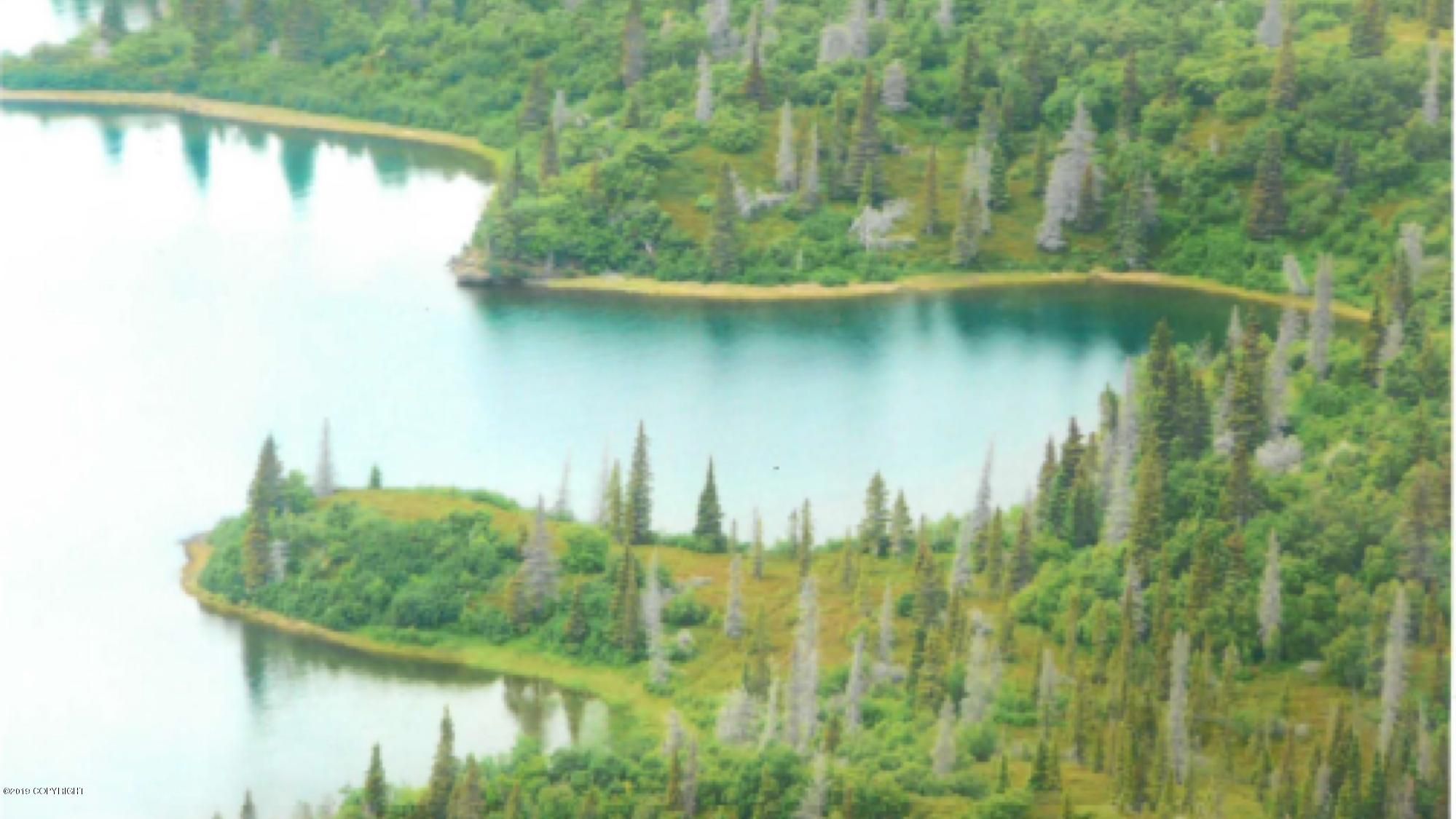 Iliamna, Lake and Peninsula Borough, AK Undeveloped Land, Homesites for