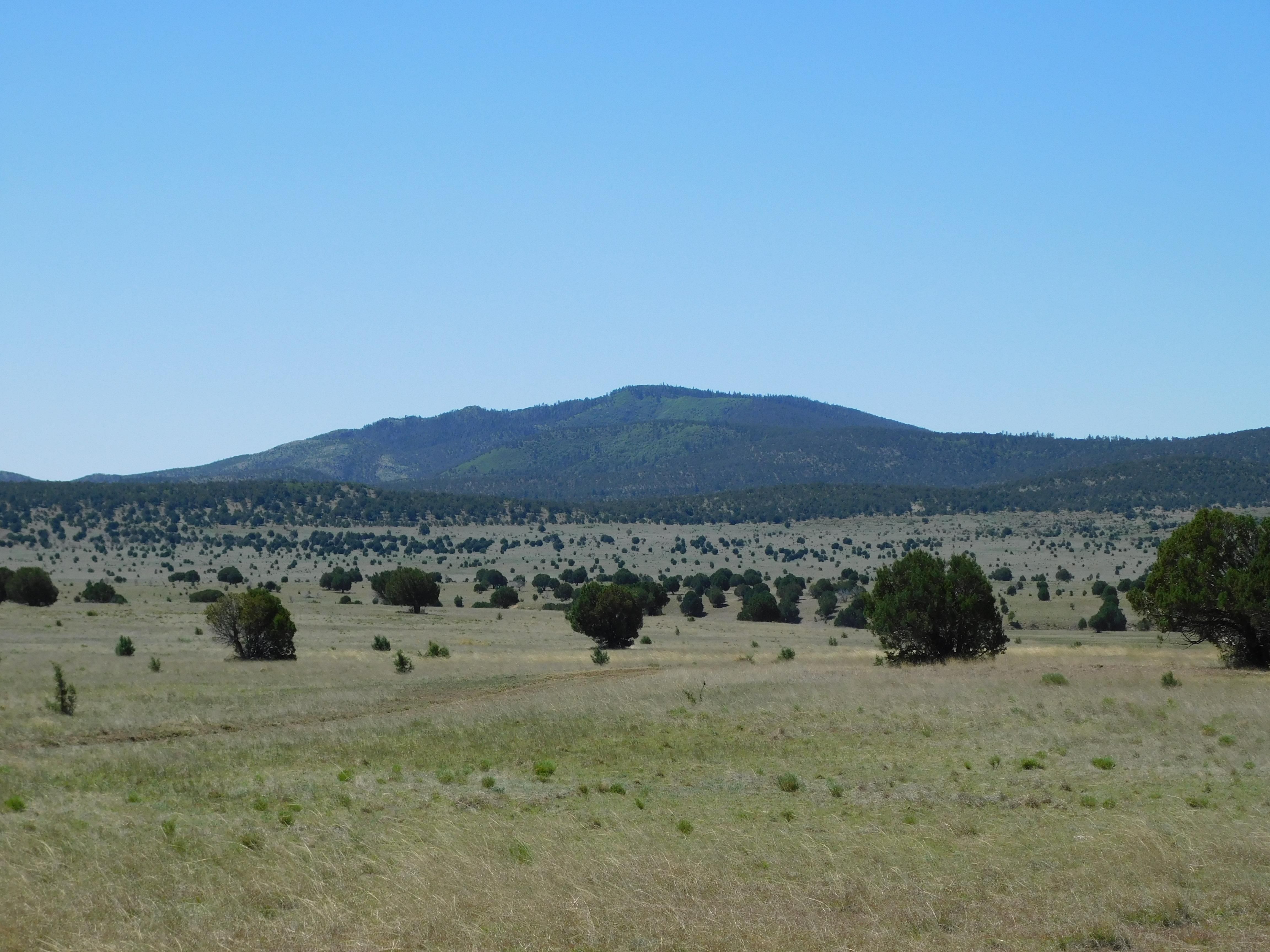 Ruidoso, Lincoln County, NM Farms and Ranches, Recreational Property