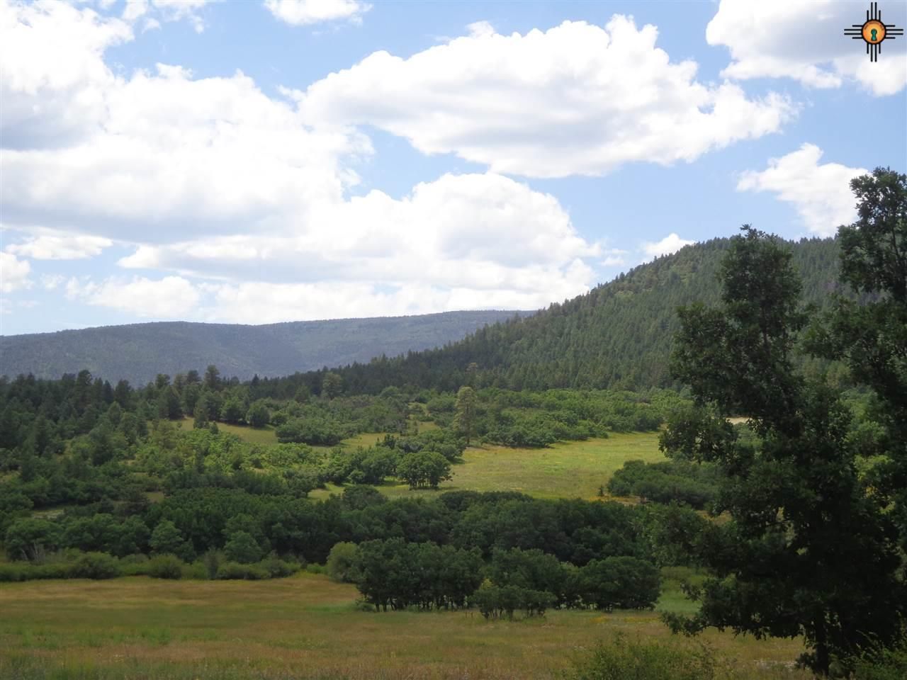 Chacon, Mora County, NM Undeveloped Land for sale Property ID