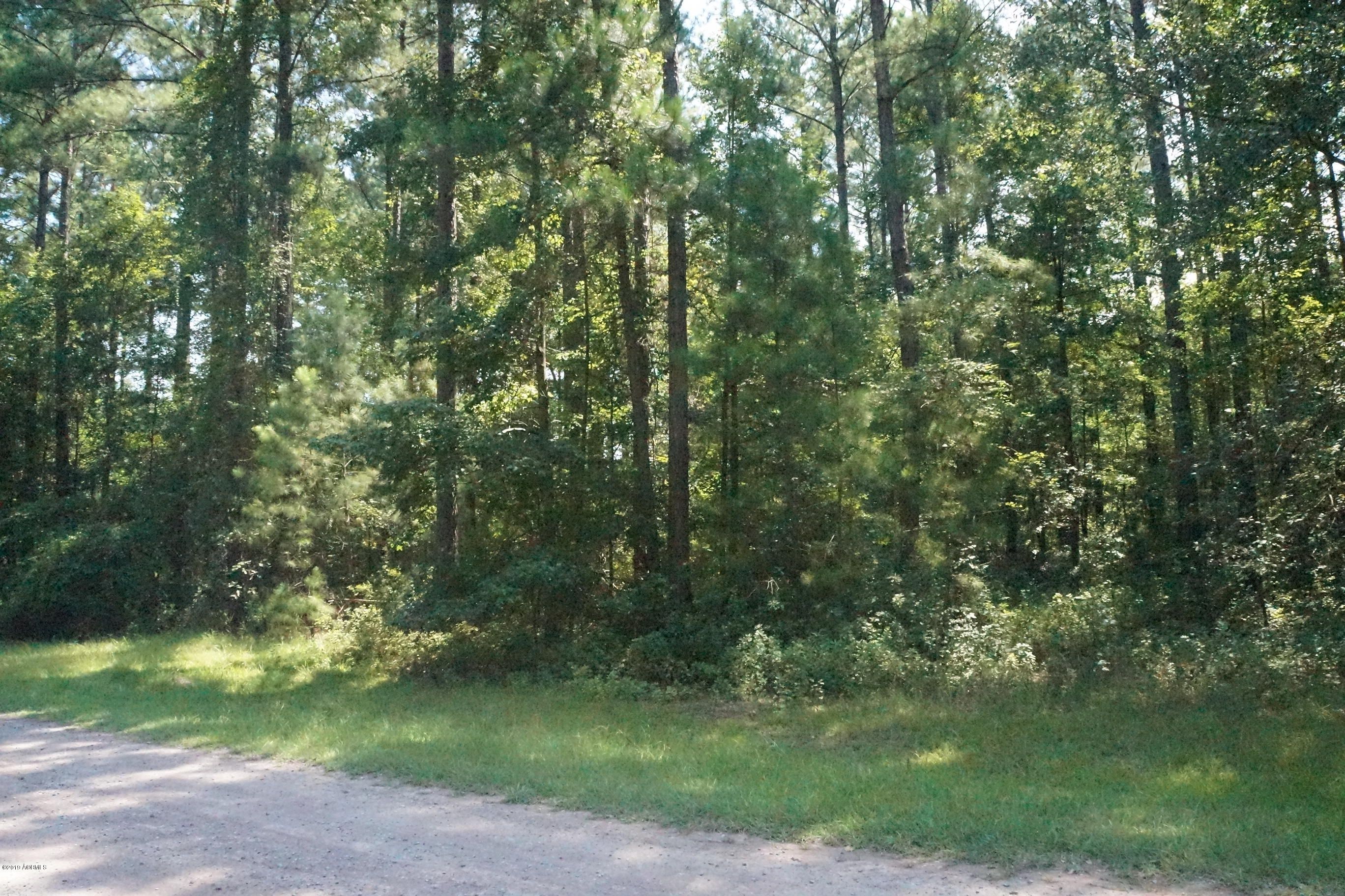 Ridgeland, Jasper County, SC Undeveloped Land for sale Property ID 336068922 LandWatch