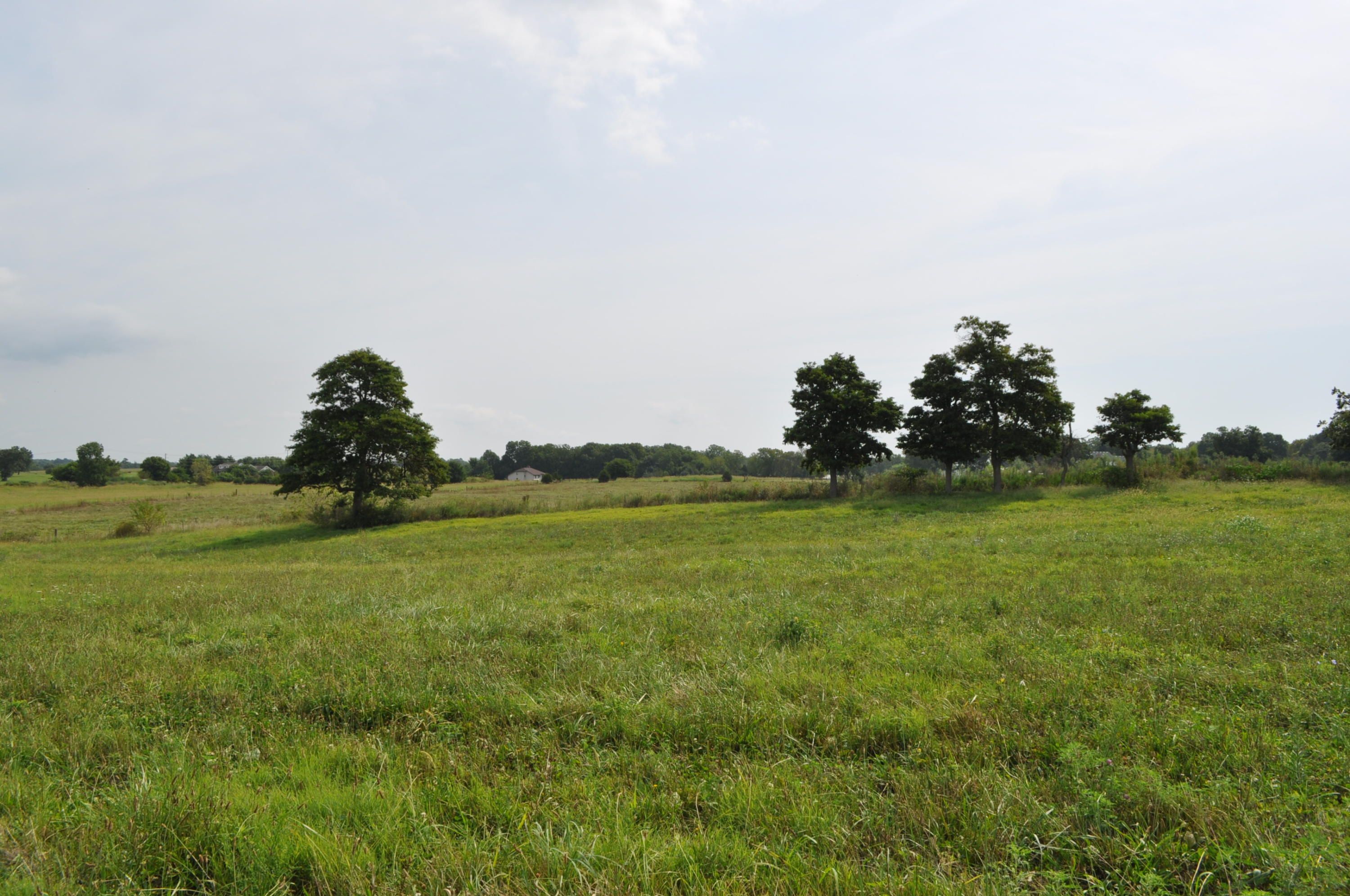 Brookline, Greene County, MO Undeveloped Land for sale Property ID