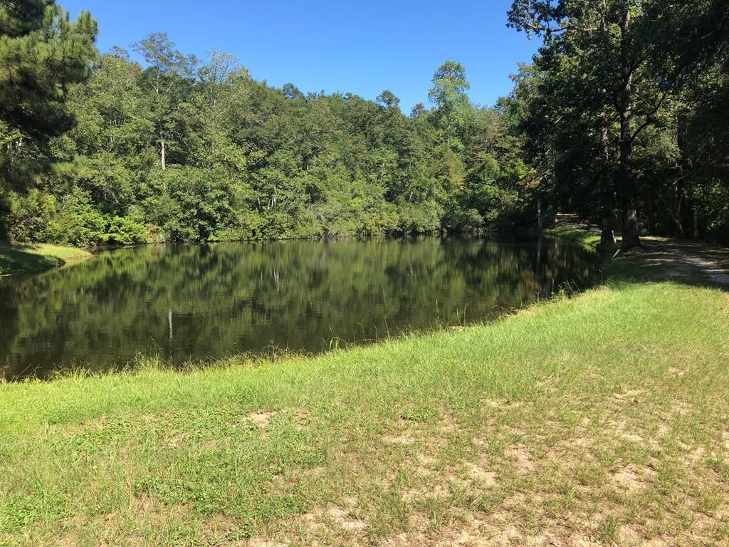 Ozark, Dale County, AL House for sale Property ID 336147040 LandWatch