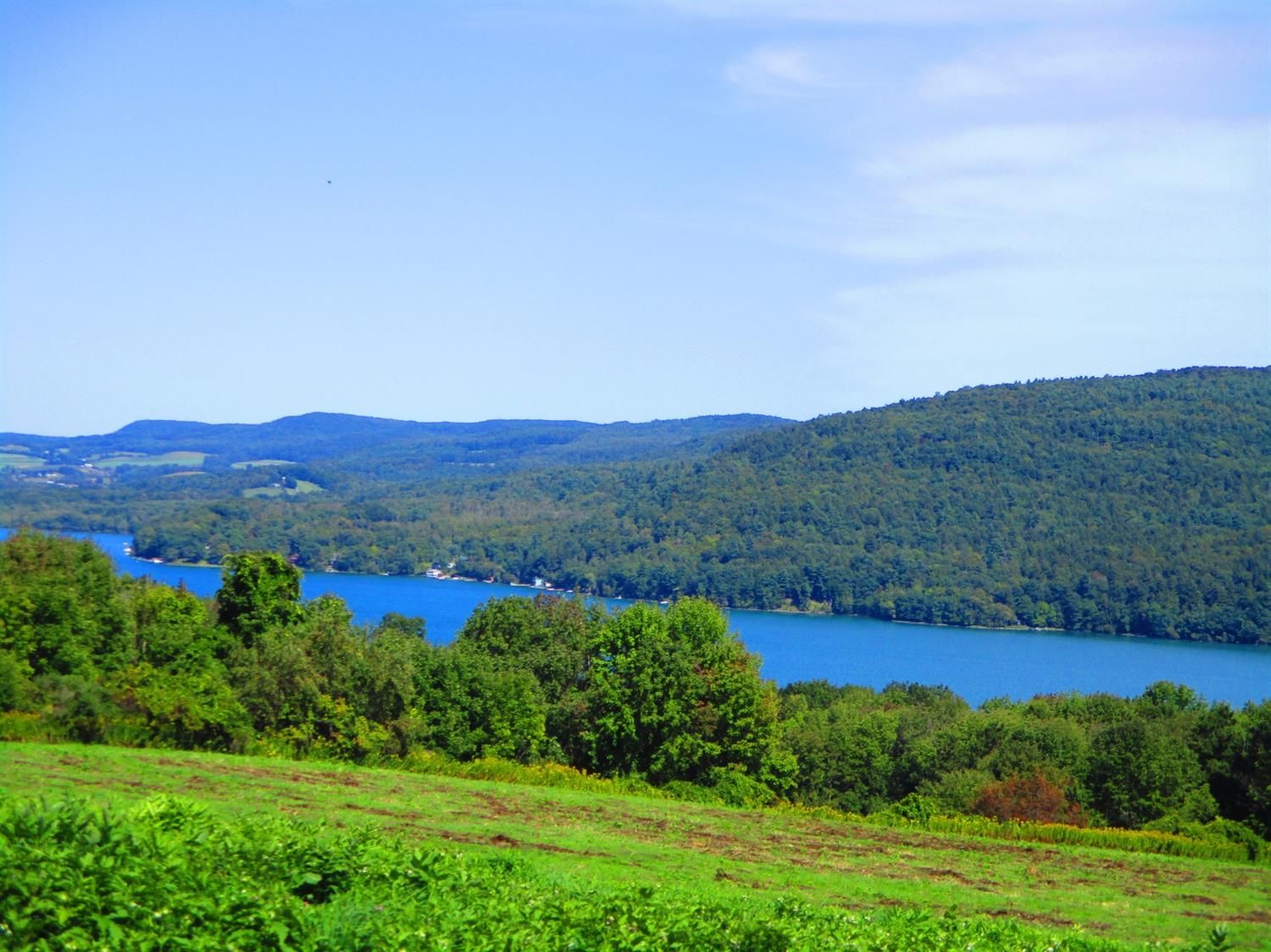 Cooperstown, Otsego County, NY Undeveloped Land for sale Property ID