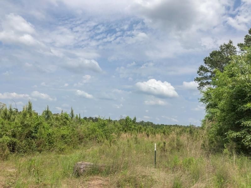 Warren, Tyler County, TX Farms and Ranches, Hunting Property, Horse