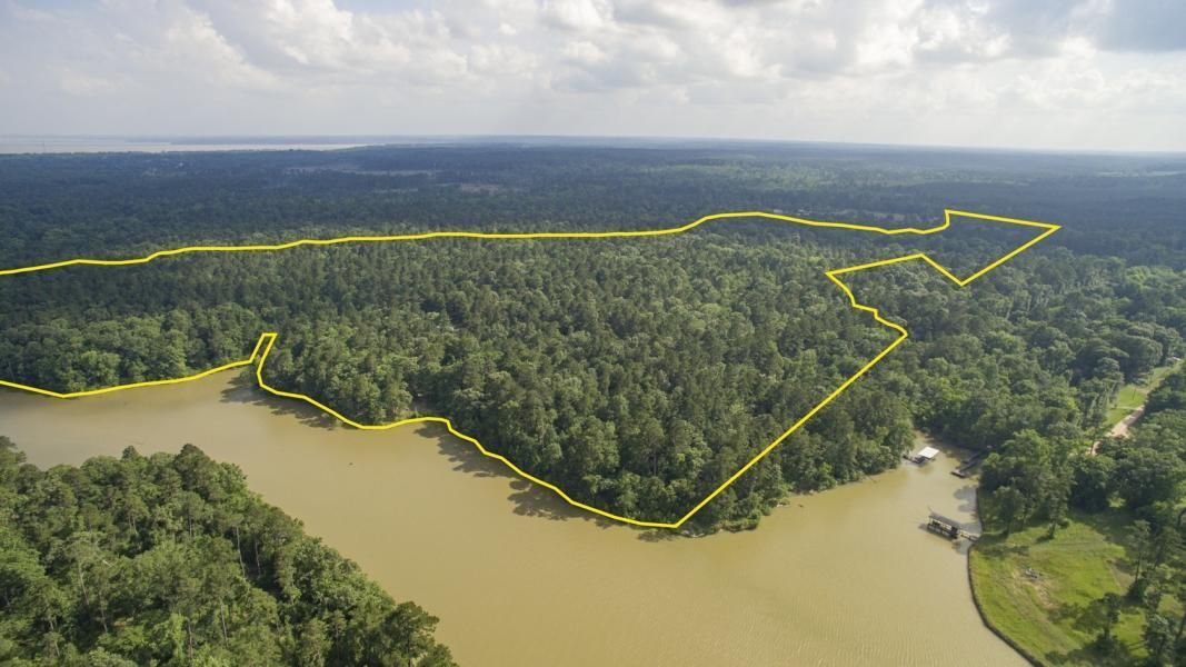 Point Blank, San Jacinto County, TX Recreational Property, Undeveloped