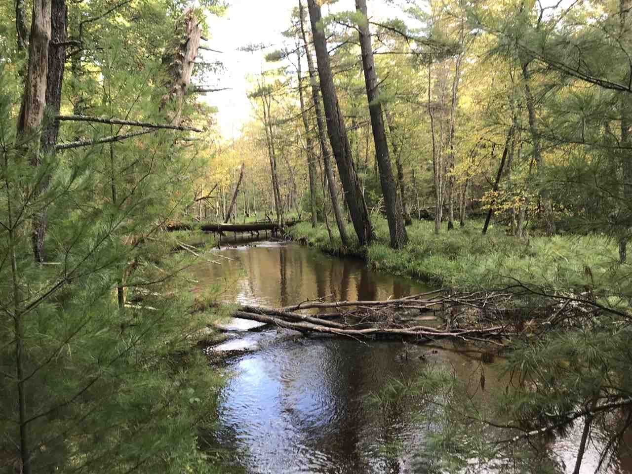 Friendship, Adams County, WI Undeveloped Land, Homesites for sale