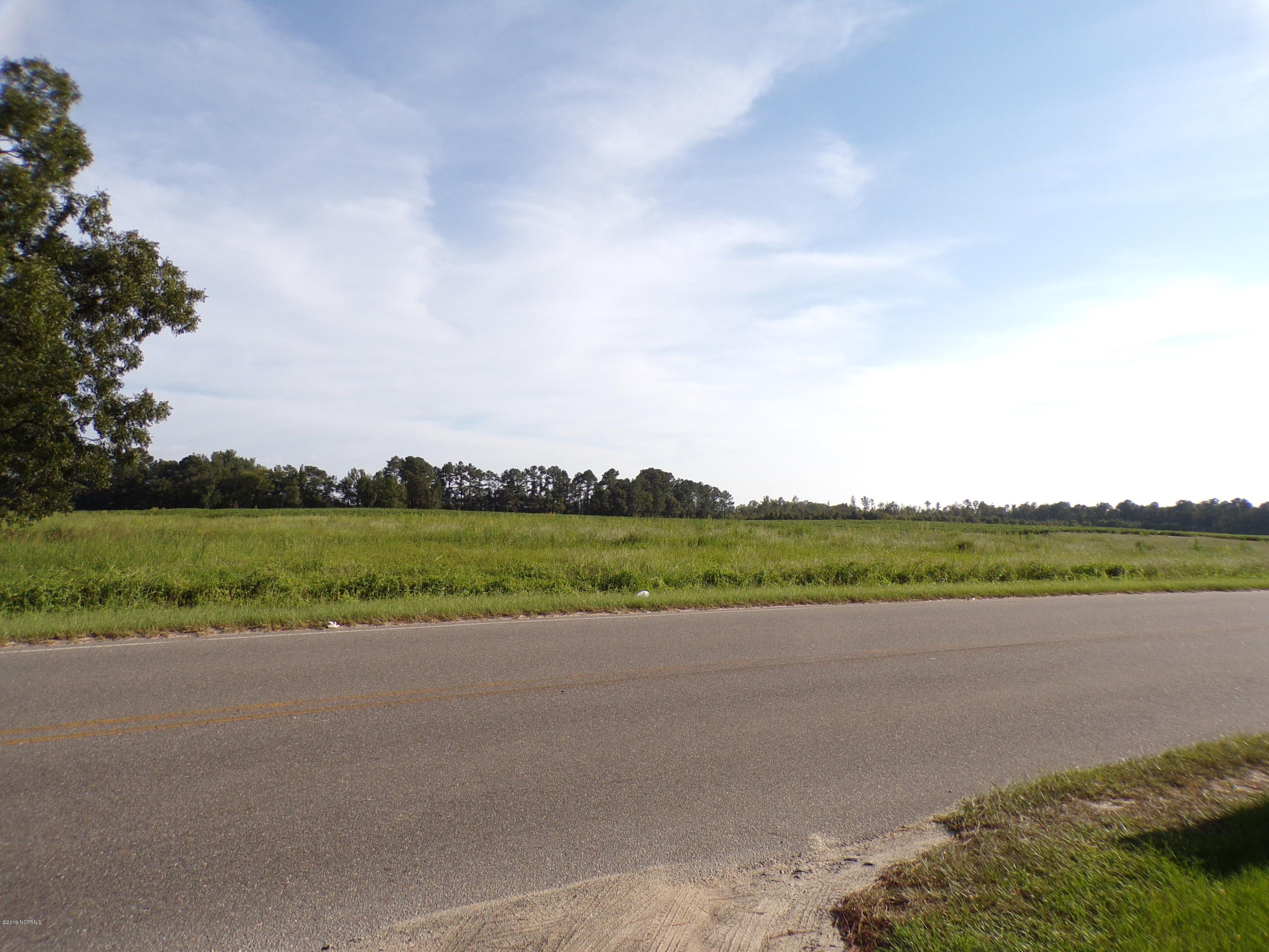 Dudley, Wayne County, NC Undeveloped Land for sale Property ID