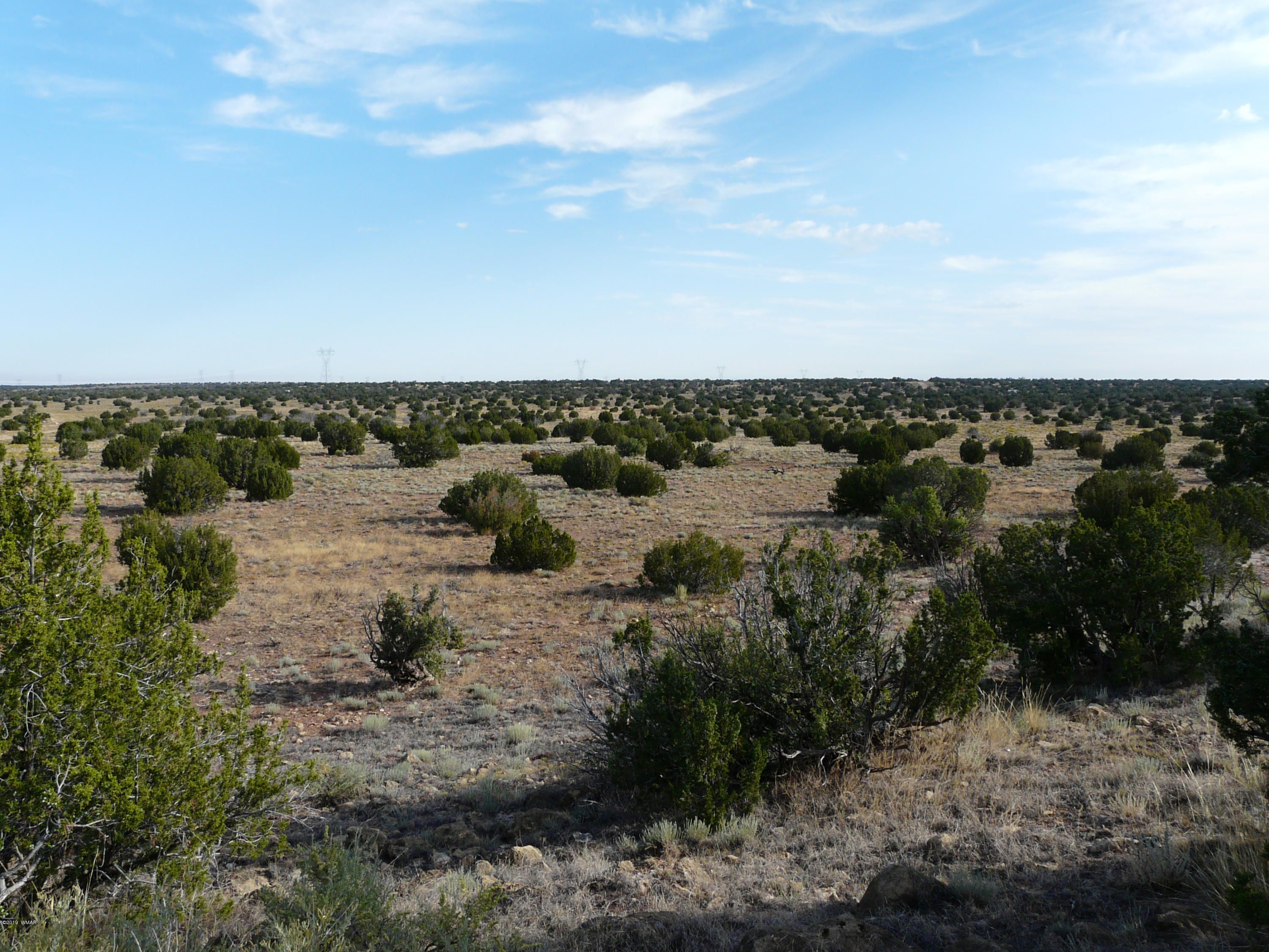 Heber, Navajo County, AZ Undeveloped Land for sale Property ID