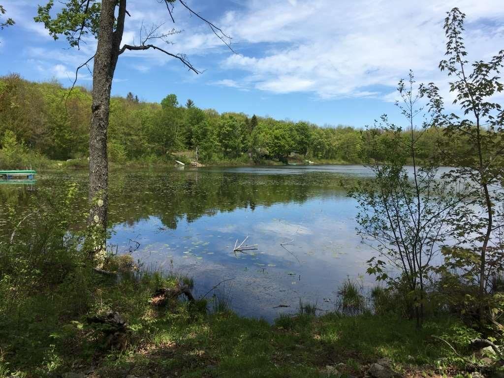 Summit, Schoharie County, NY Undeveloped Land for sale Property ID