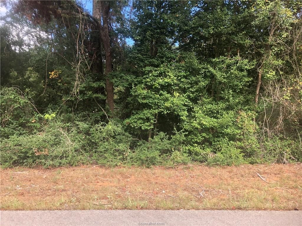 Hilltop Lakes, Leon County, TX Undeveloped Land, Homesites for sale