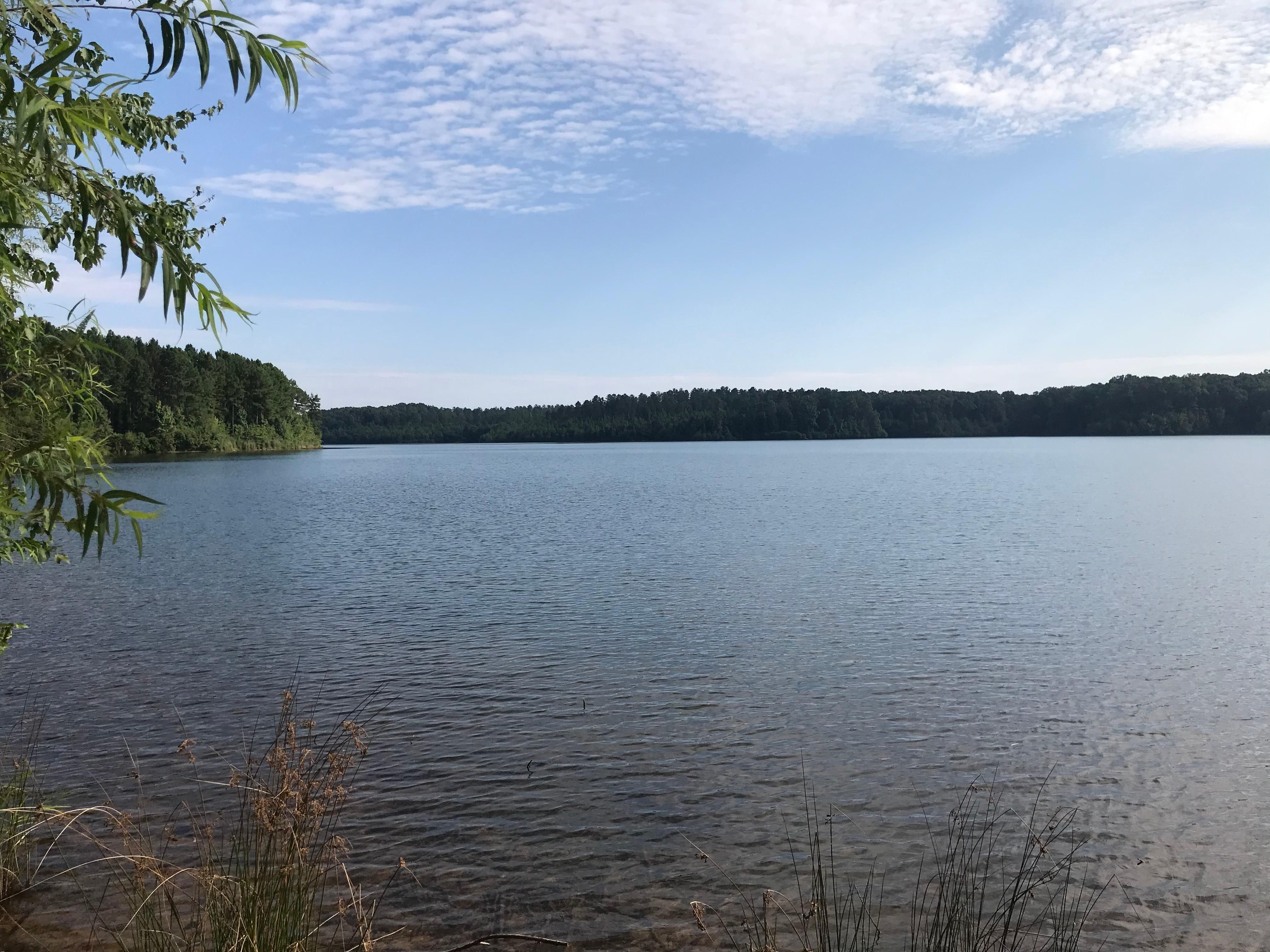 Whitesburg, Carroll County, GA Lakefront Property, Waterfront Property