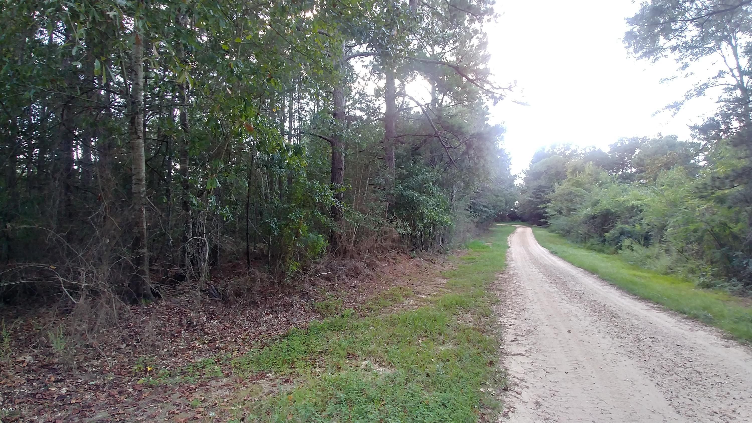 Lumberton, Pearl River County, MS Undeveloped Land, Homesites for sale
