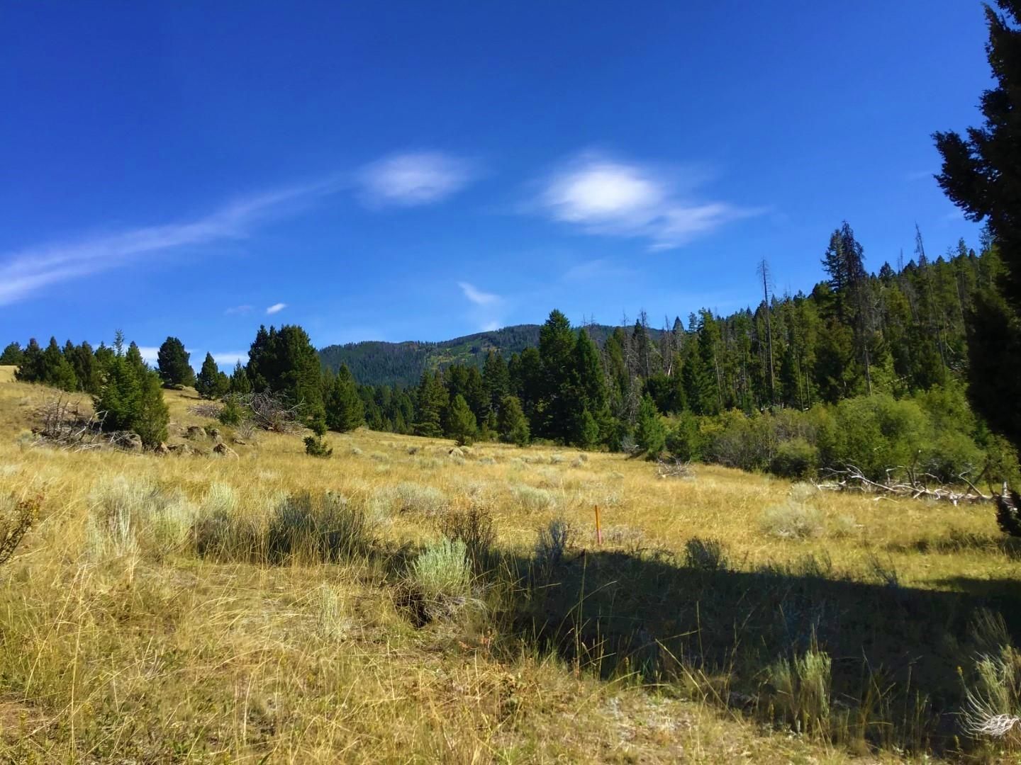 Deer Lodge, Deer Lodge County, MT Undeveloped Land for sale Property ID