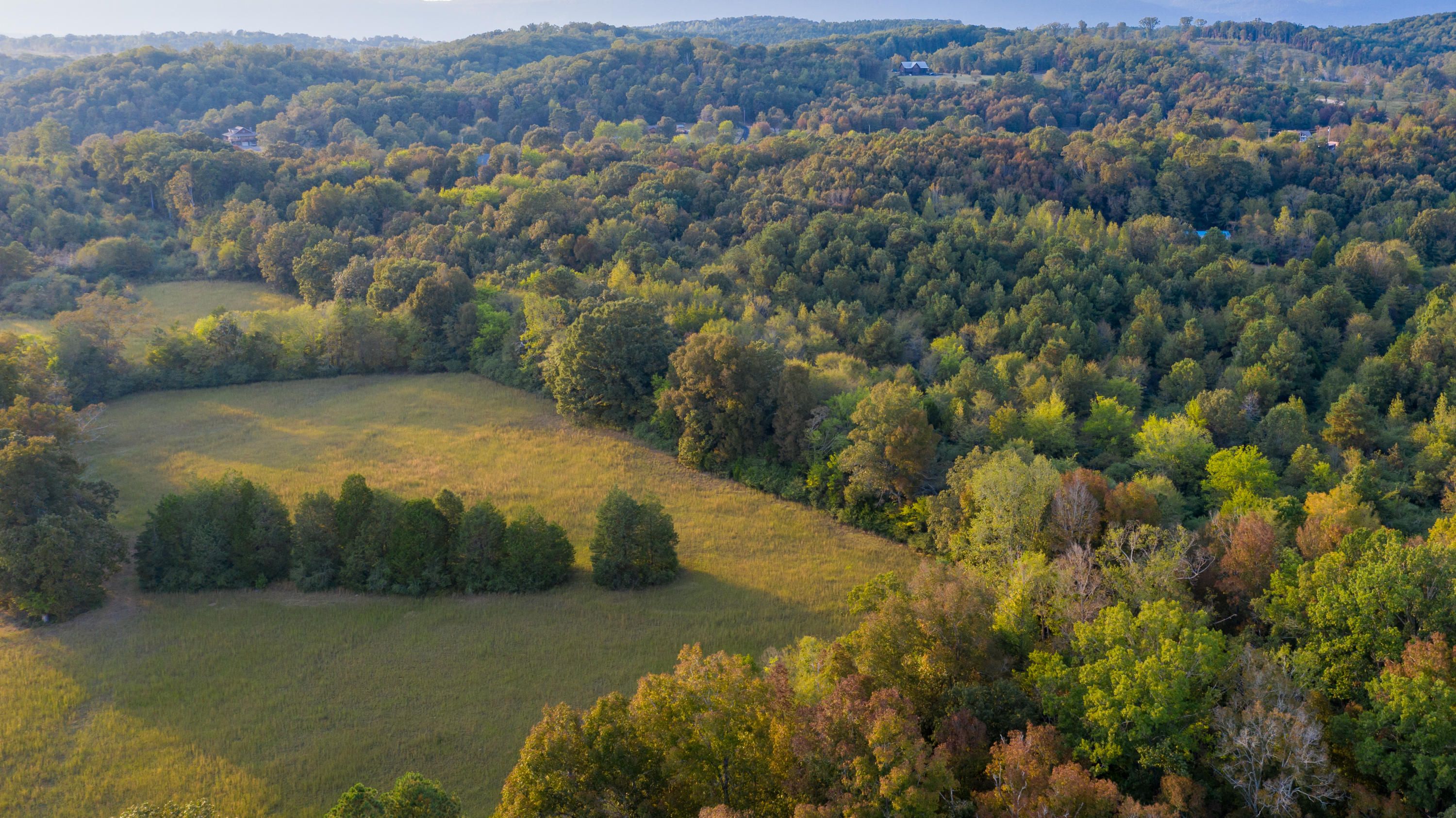 Summerville, Chattooga County, GA Undeveloped Land for sale Property ID