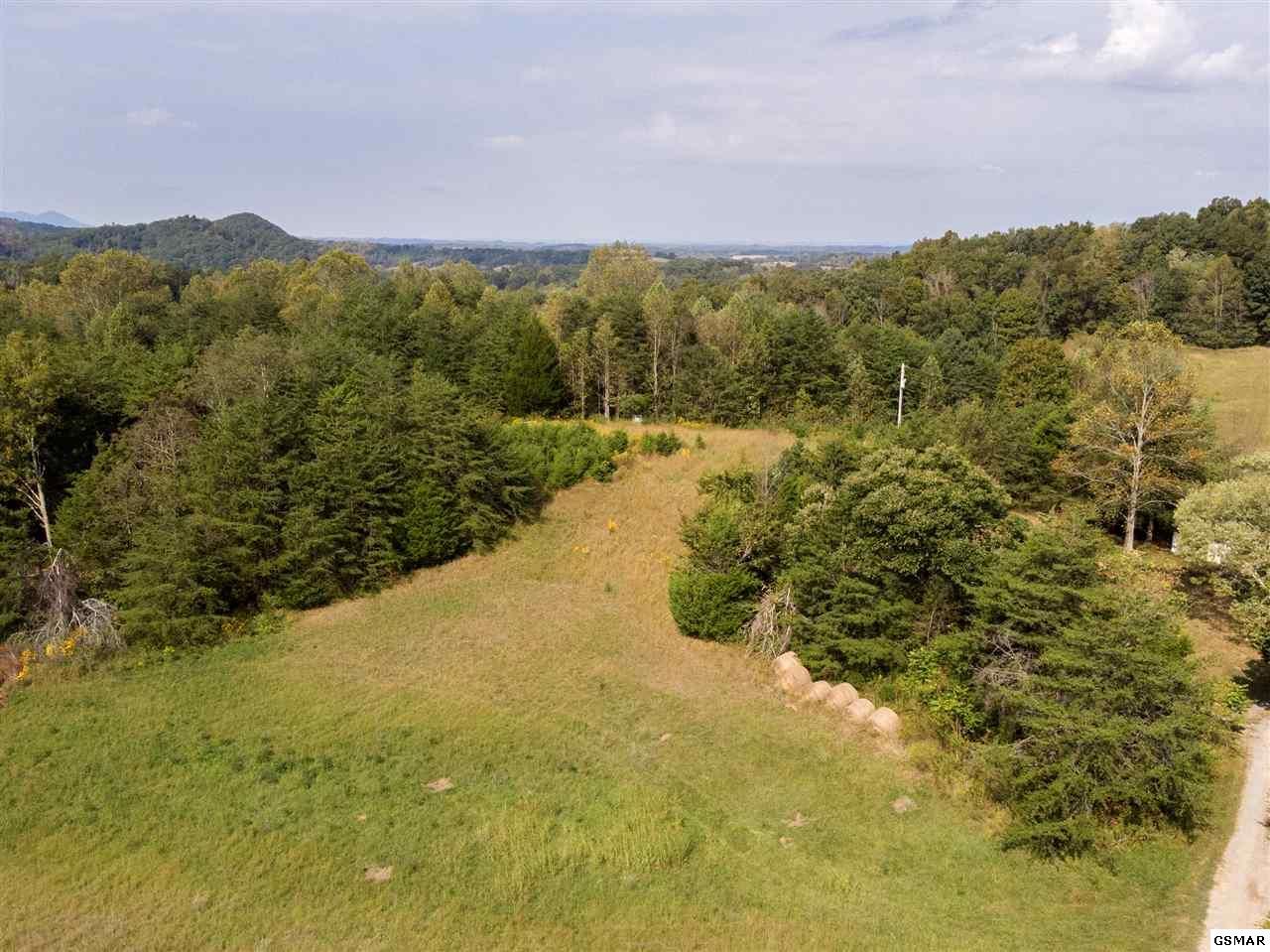 Parrottsville, Cocke County, TN Undeveloped Land for sale Property ID