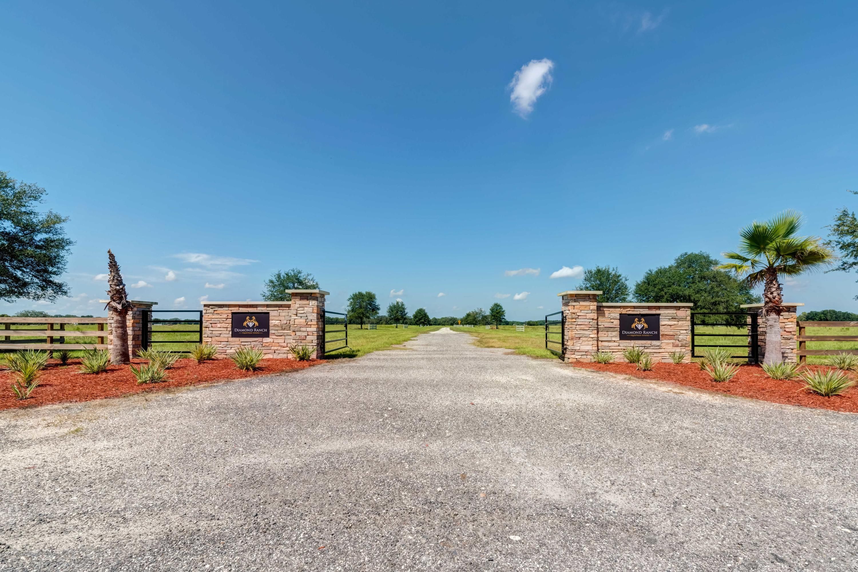 Brooksville, Hernando County, FL Undeveloped Land for sale Property ID