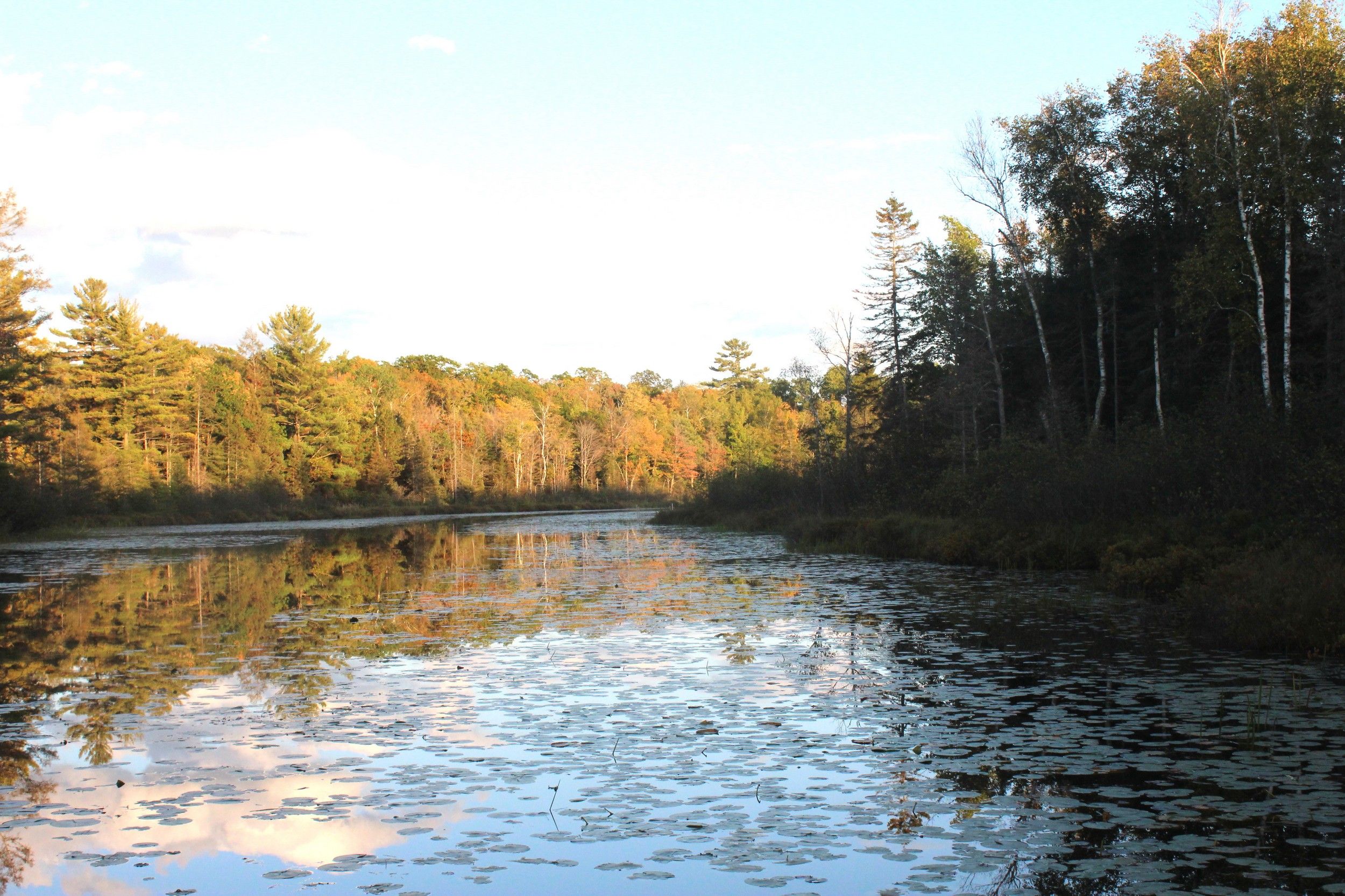 Conover, Vilas County, WI Undeveloped Land for sale Property ID
