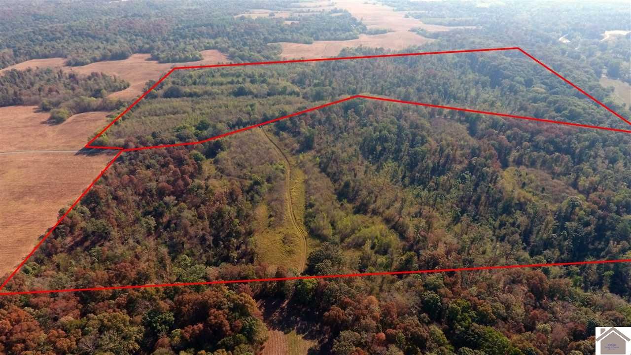 New Concord, Calloway County, KY Undeveloped Land for sale Property ID