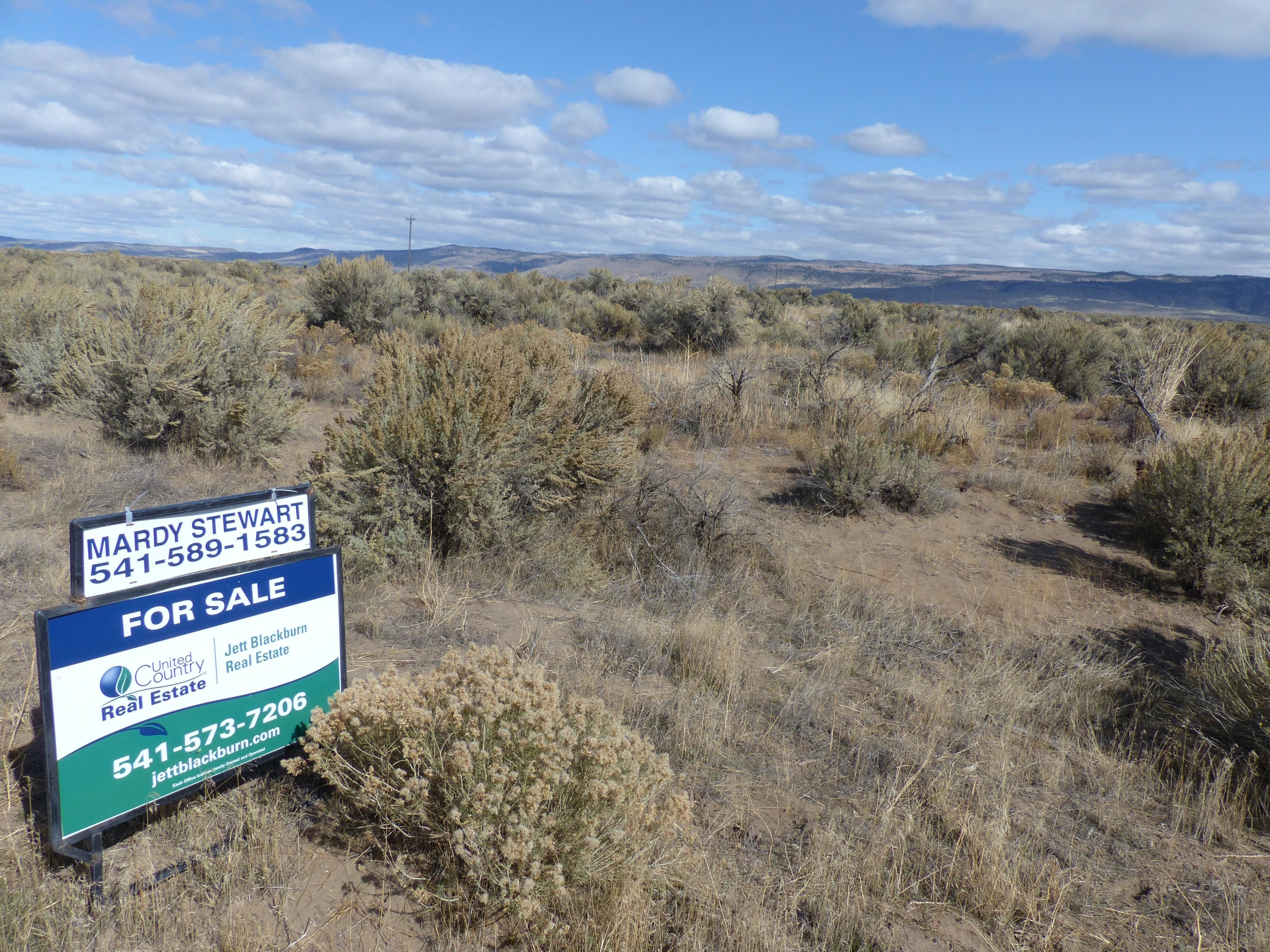 Crane, Harney County, OR Undeveloped Land for sale Property ID