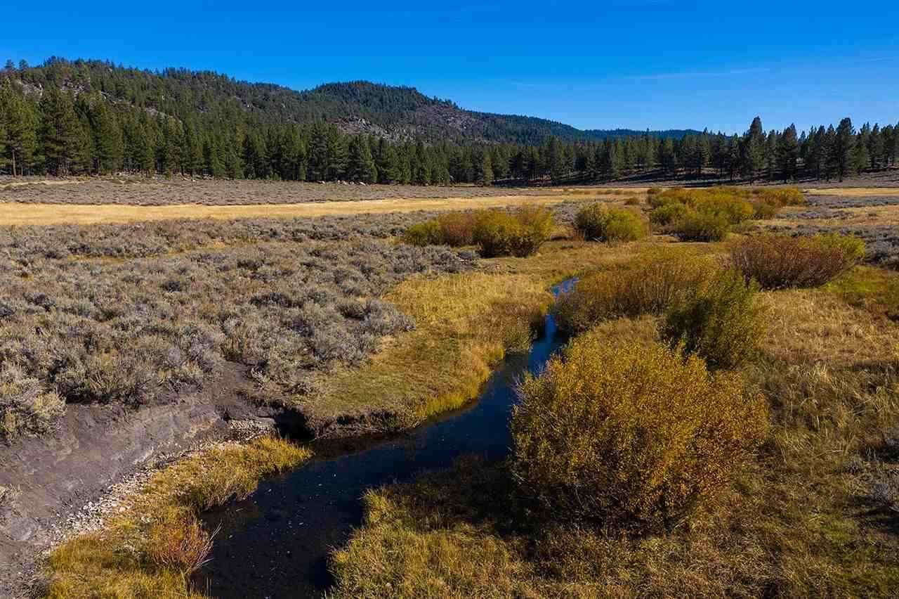Chilcoot, Plumas County, CA Undeveloped Land for sale Property ID