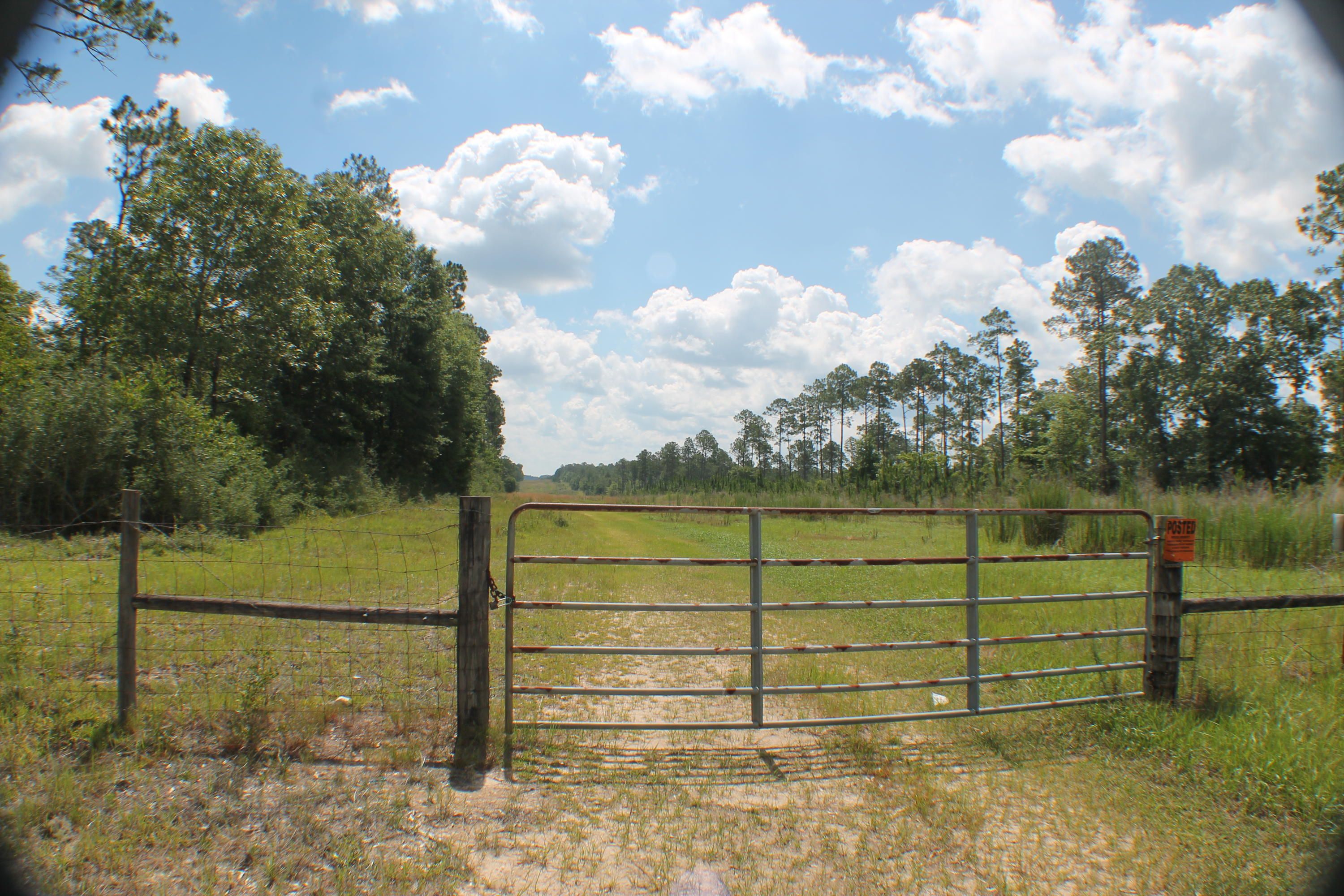 Laurel Hill, Okaloosa County, FL Undeveloped Land, Lakefront Property