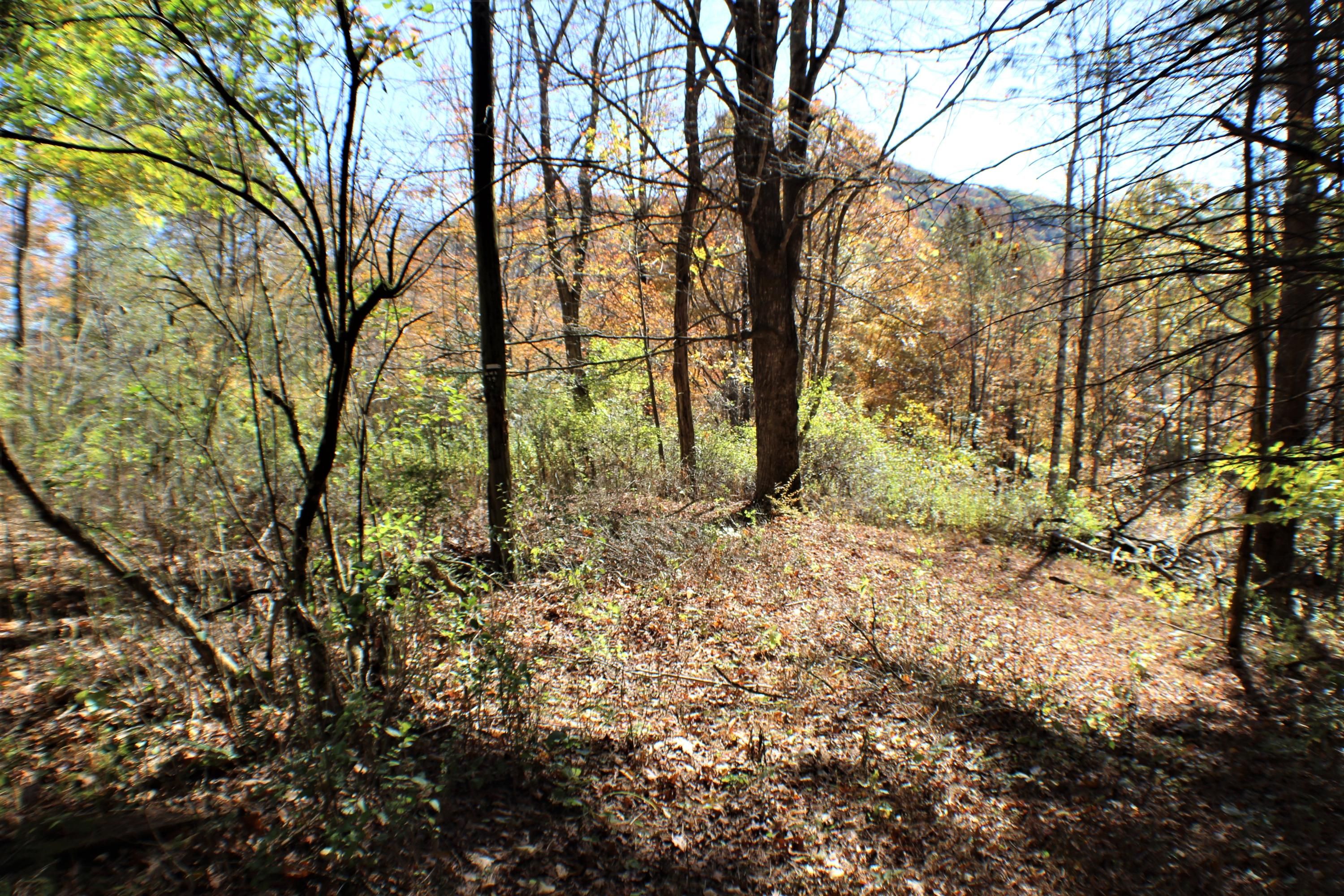 Hillsboro, Pocahontas County, WV Undeveloped Land for sale Property ID