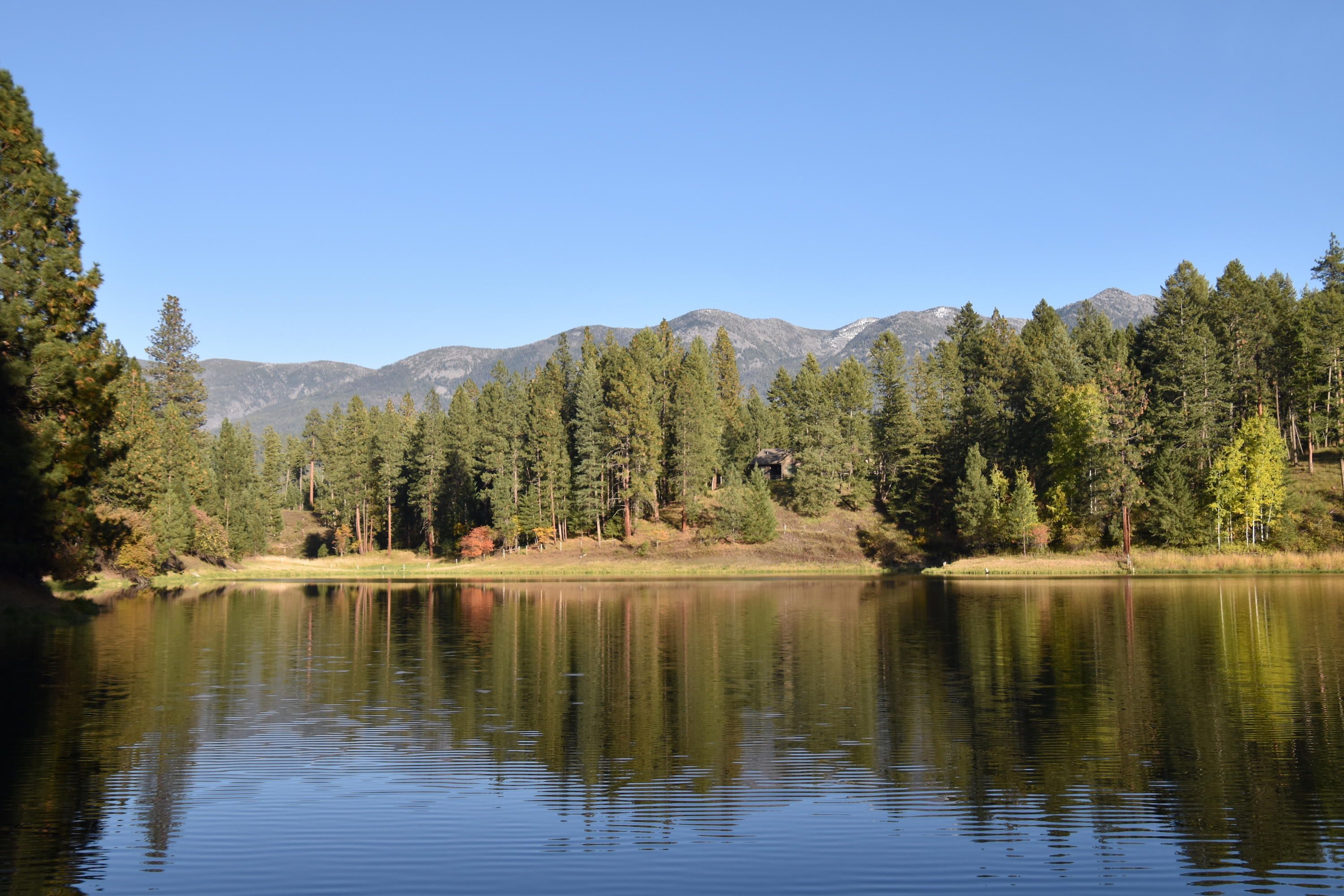 Polson, Lake County, MT Undeveloped Land for sale Property ID 336572184 LandWatch