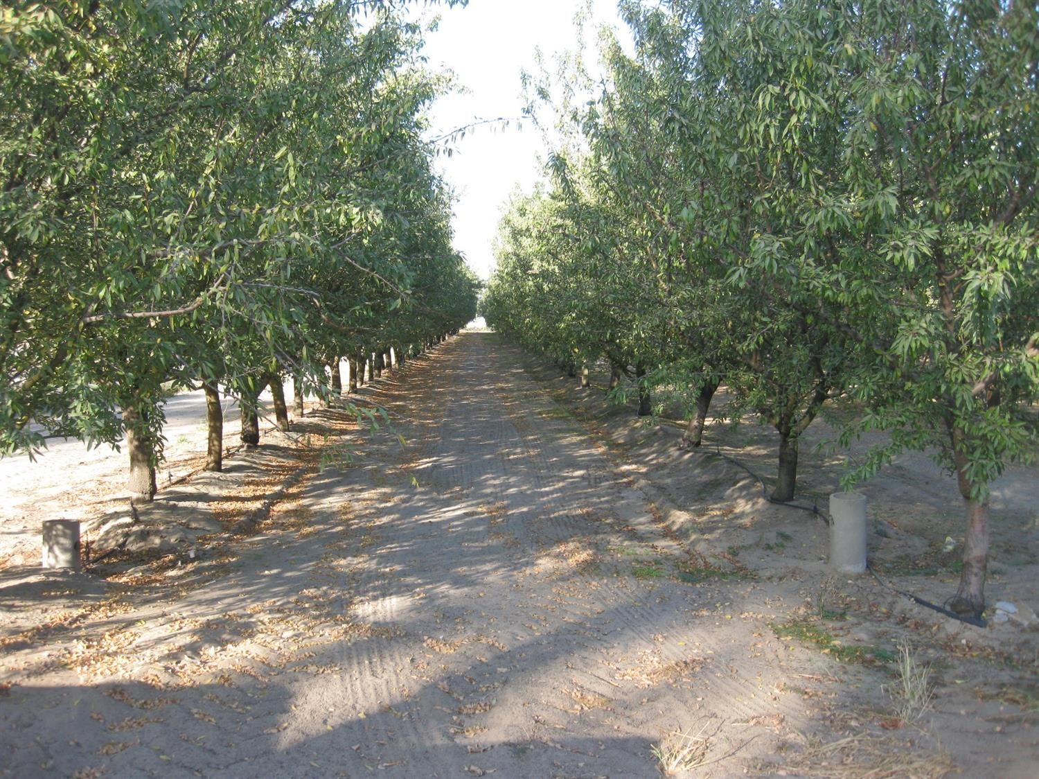 Fresno, Fresno County, CA Farms and Ranches for sale Property ID