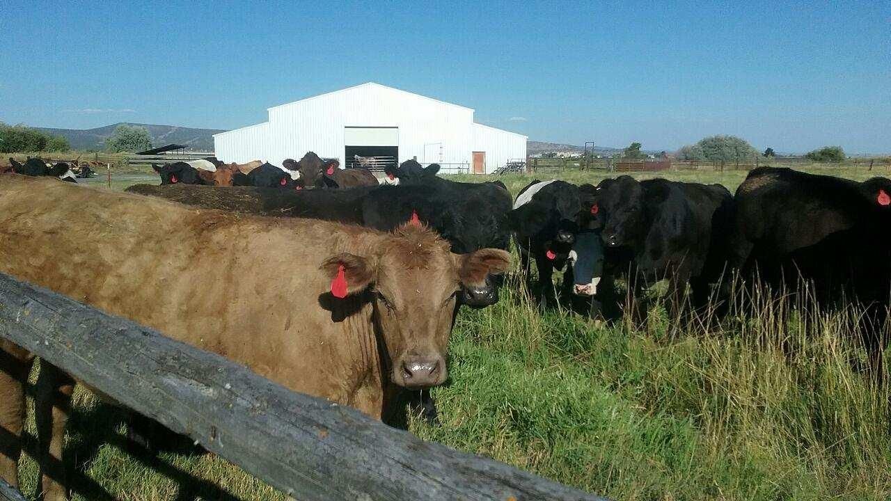 Klamath Falls, Klamath County, OR Farms and Ranches, Horse Property