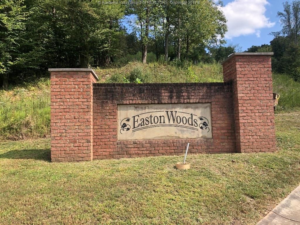 Poca, Putnam County, WV Undeveloped Land, Lakefront Property