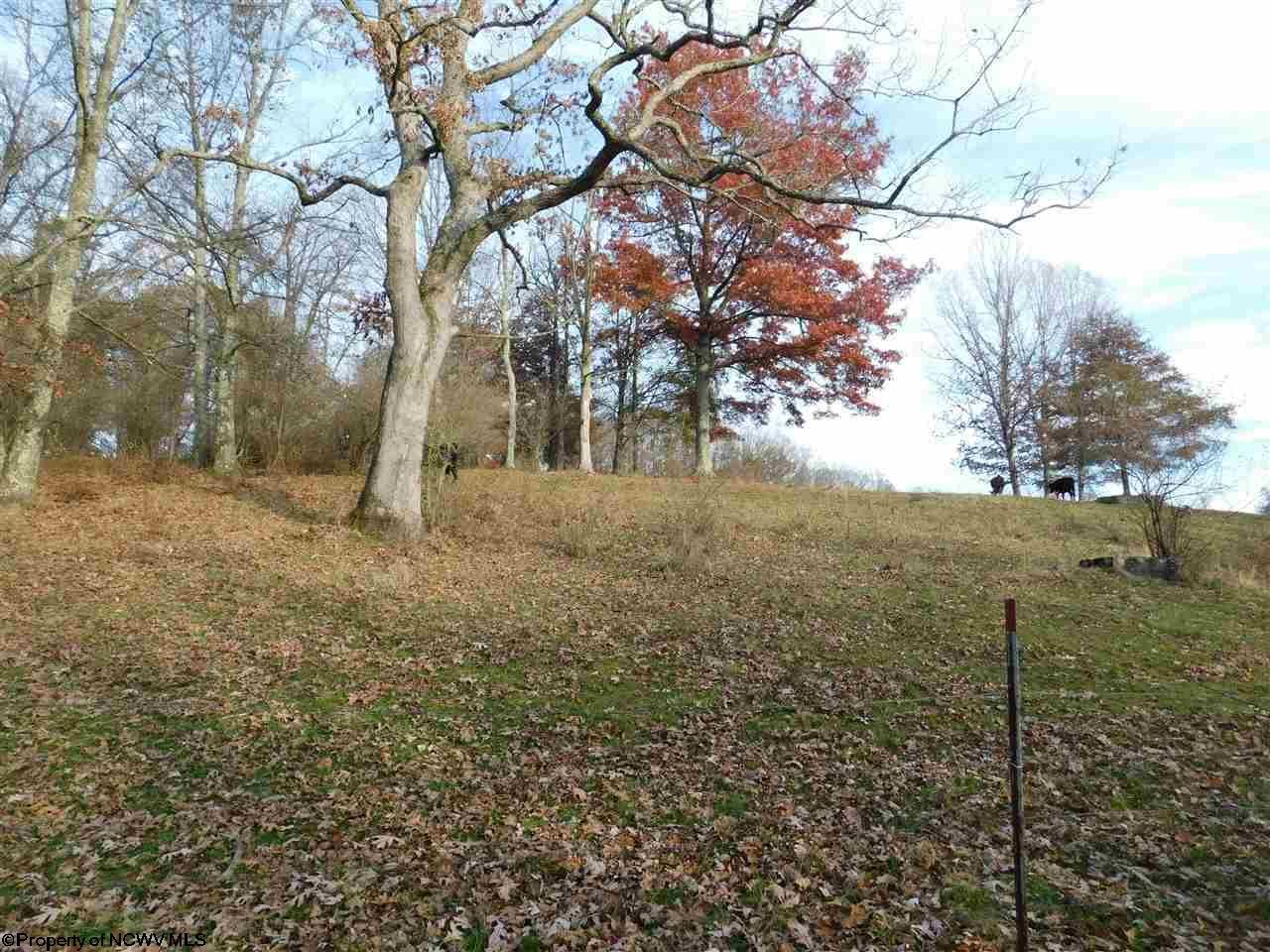 Reedsville, Preston County, WV Undeveloped Land for sale Property ID