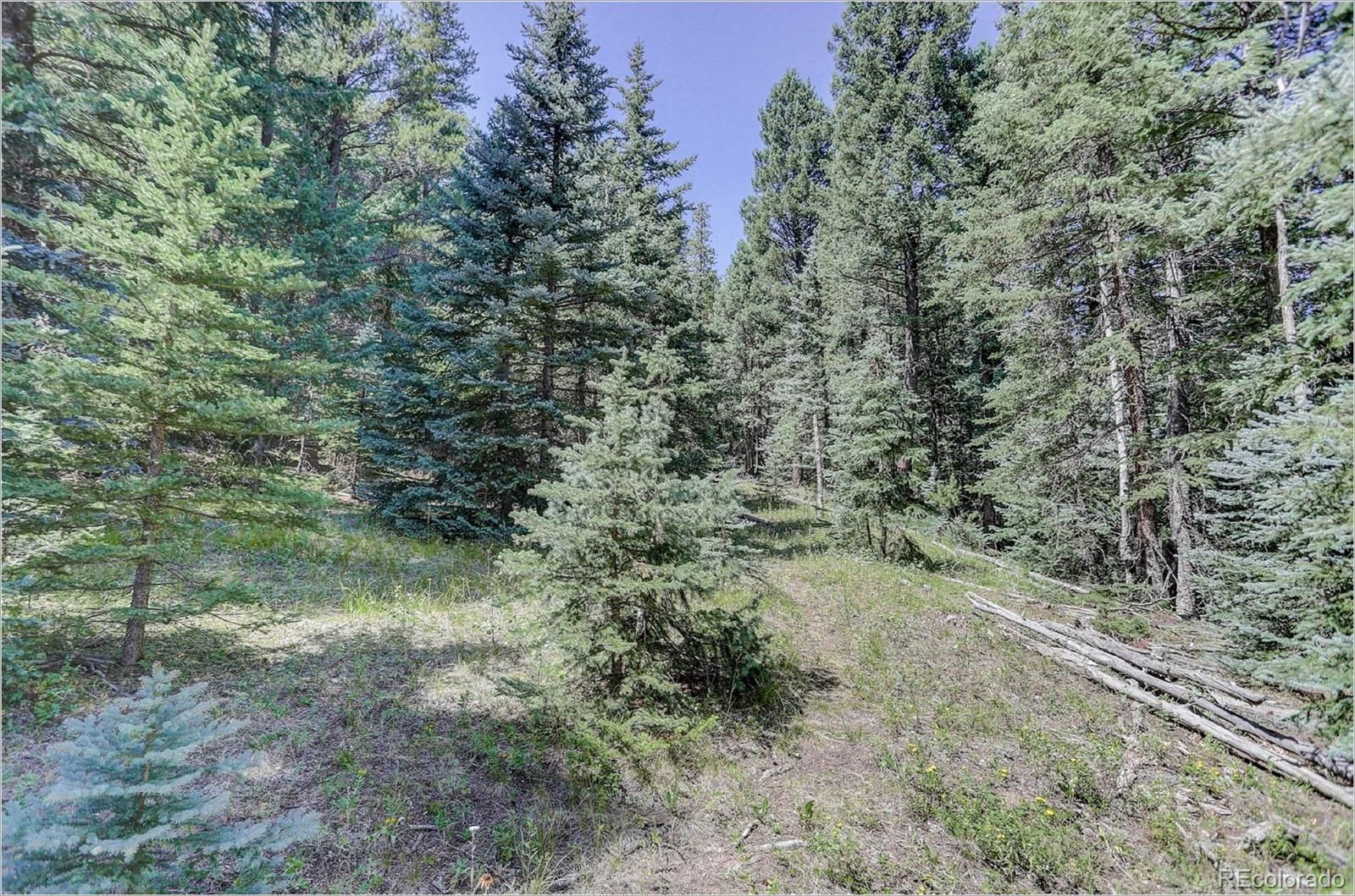 Evergreen, Clear Creek County, CO Undeveloped Land for sale Property ID