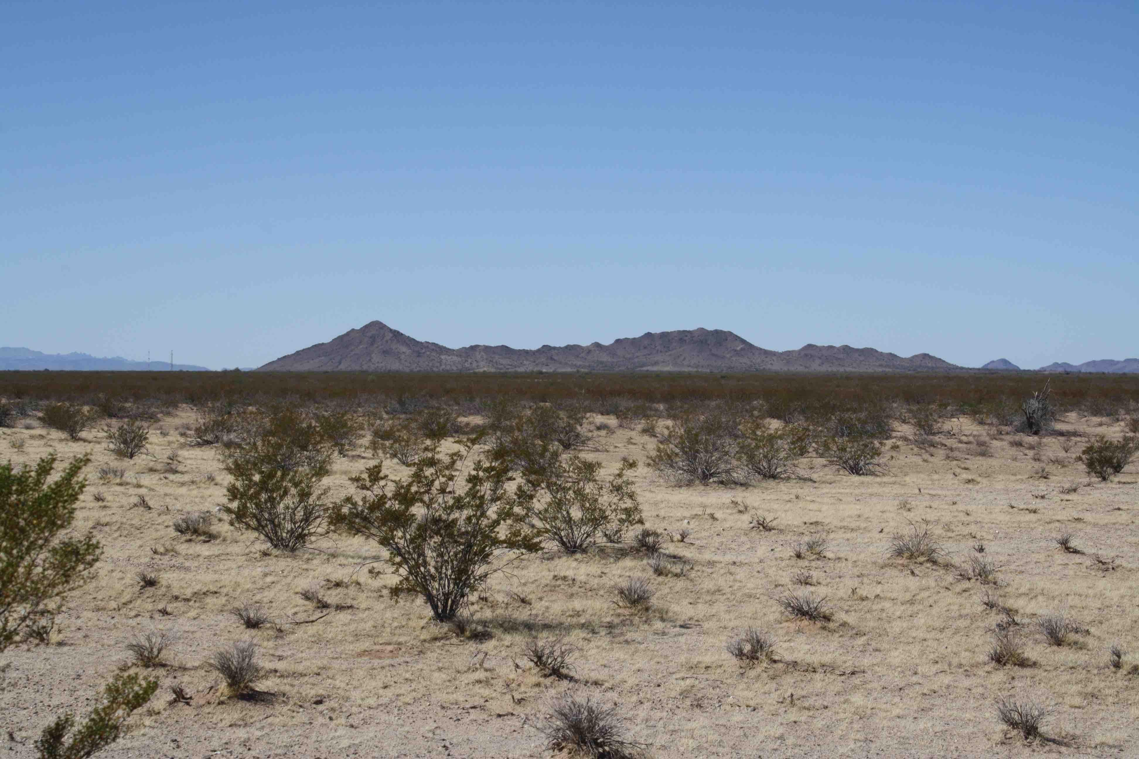 Salome, La Paz County, AZ Undeveloped Land for sale Property ID 336726611 LandWatch