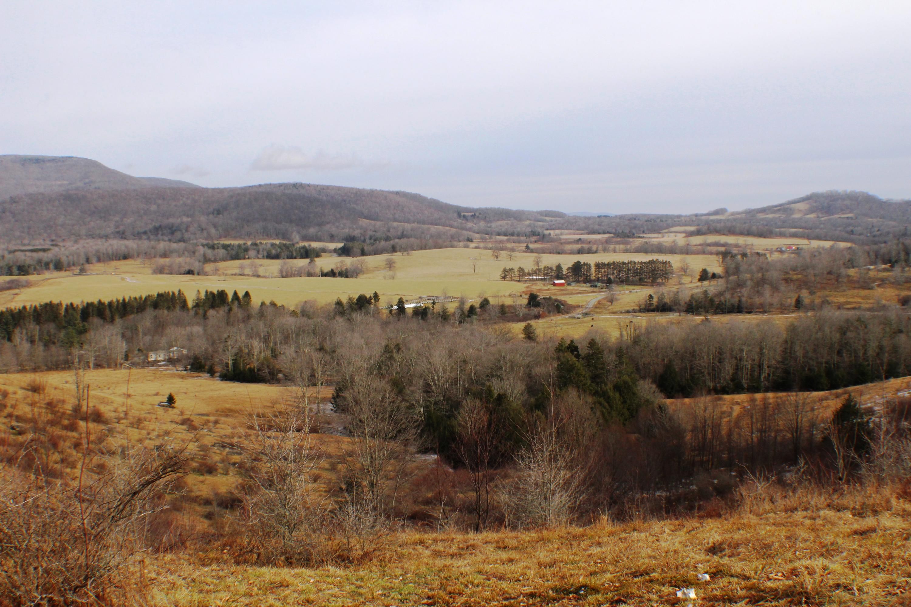 Marlinton, Pocahontas County, WV Undeveloped Land for sale Property ID