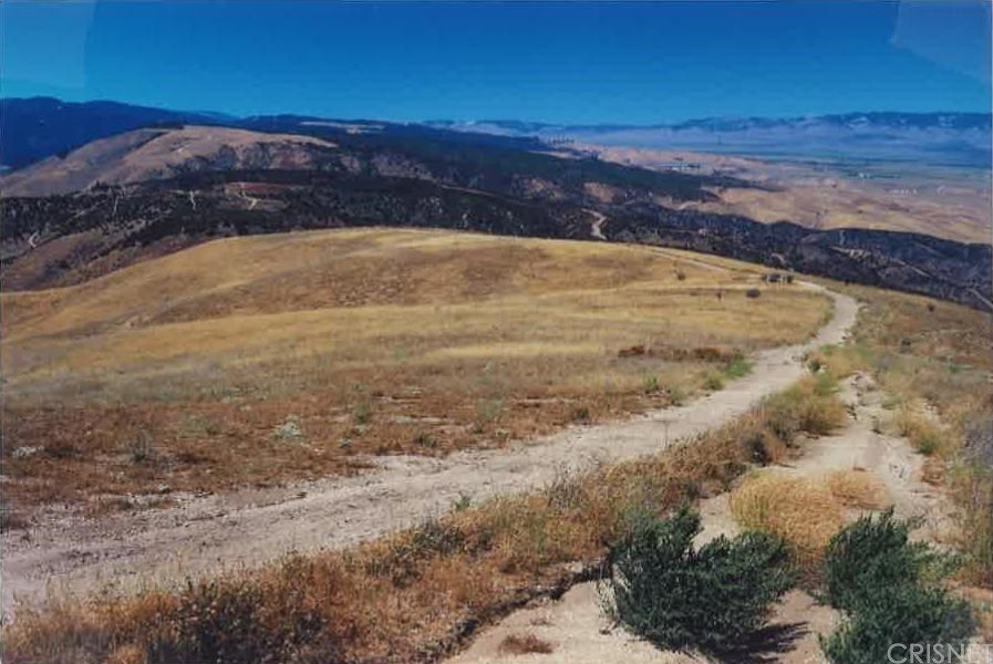 Leona Valley, Los Angeles County, CA Undeveloped Land for sale Property