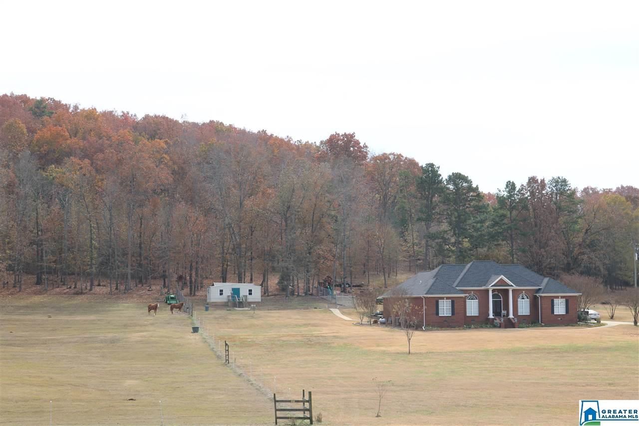 Ashville, Saint Clair County, AL House for sale Property ID 336820808