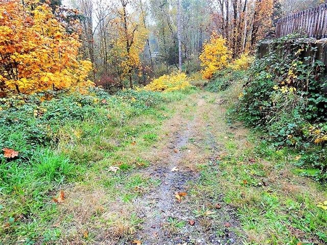 Morton, Lewis County, WA Undeveloped Land, Homesites for ...