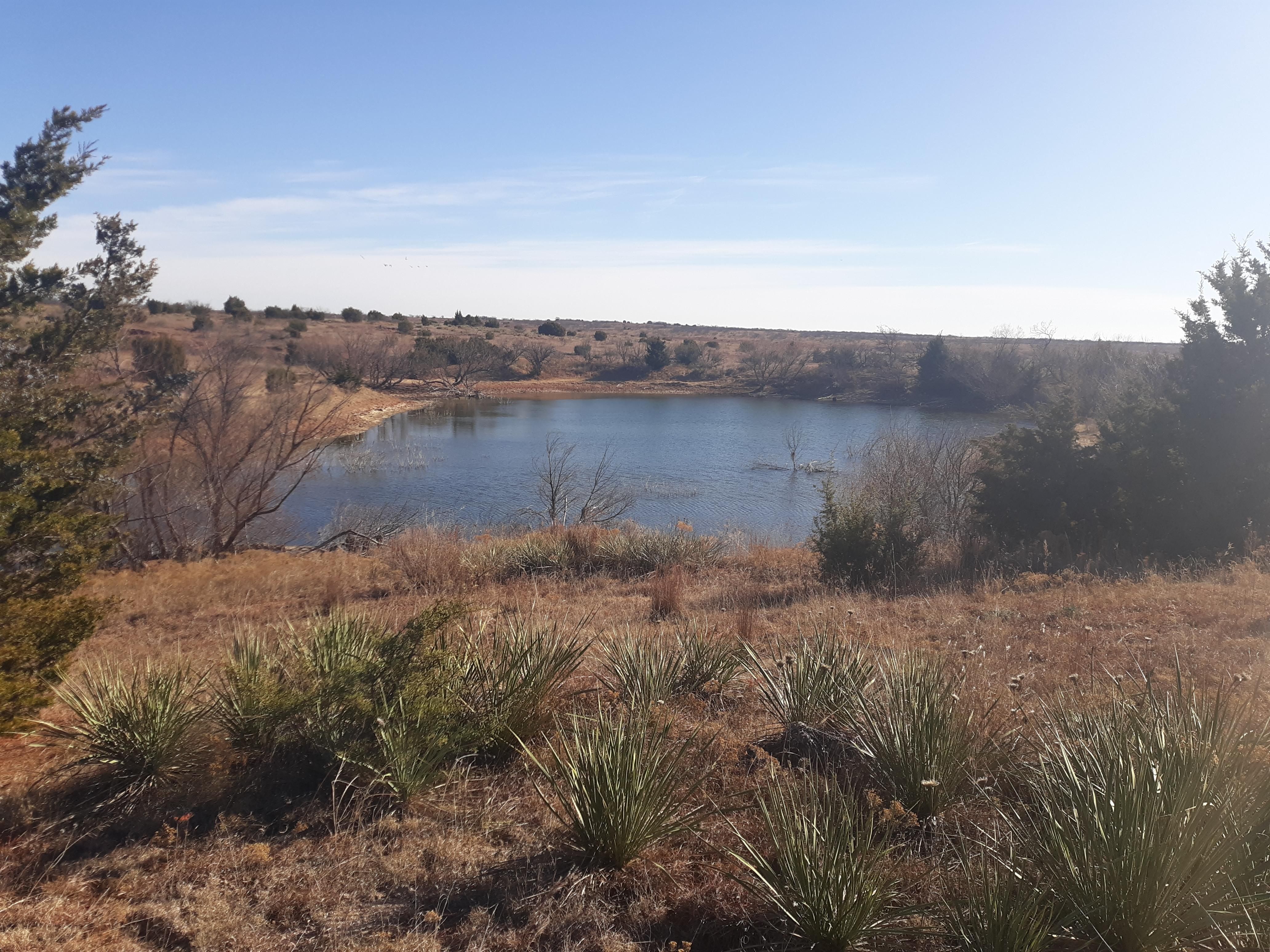 Vinson, Harmon County, OK Farms and Ranches, Recreational Property