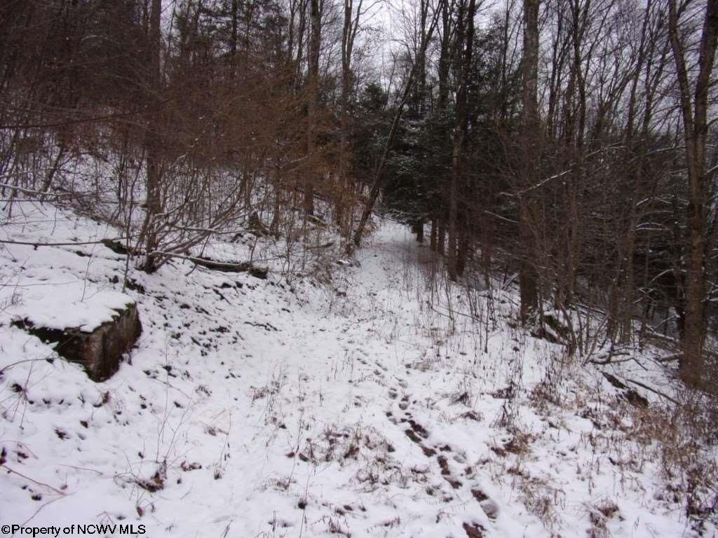 Whitmer, Randolph County, WV Undeveloped Land for sale Property ID