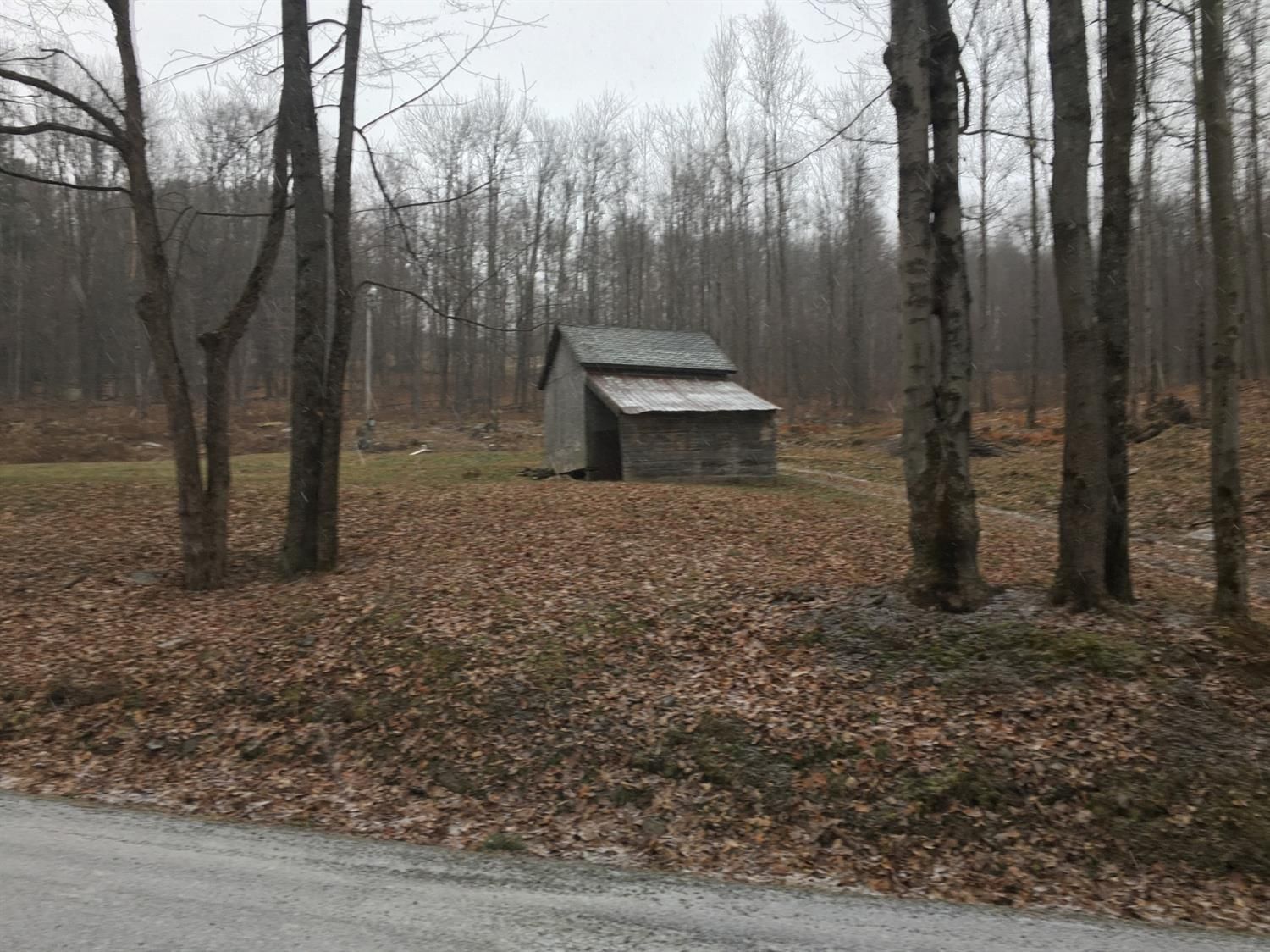 Masonville, Delaware County, NY Undeveloped Land for sale Property ID