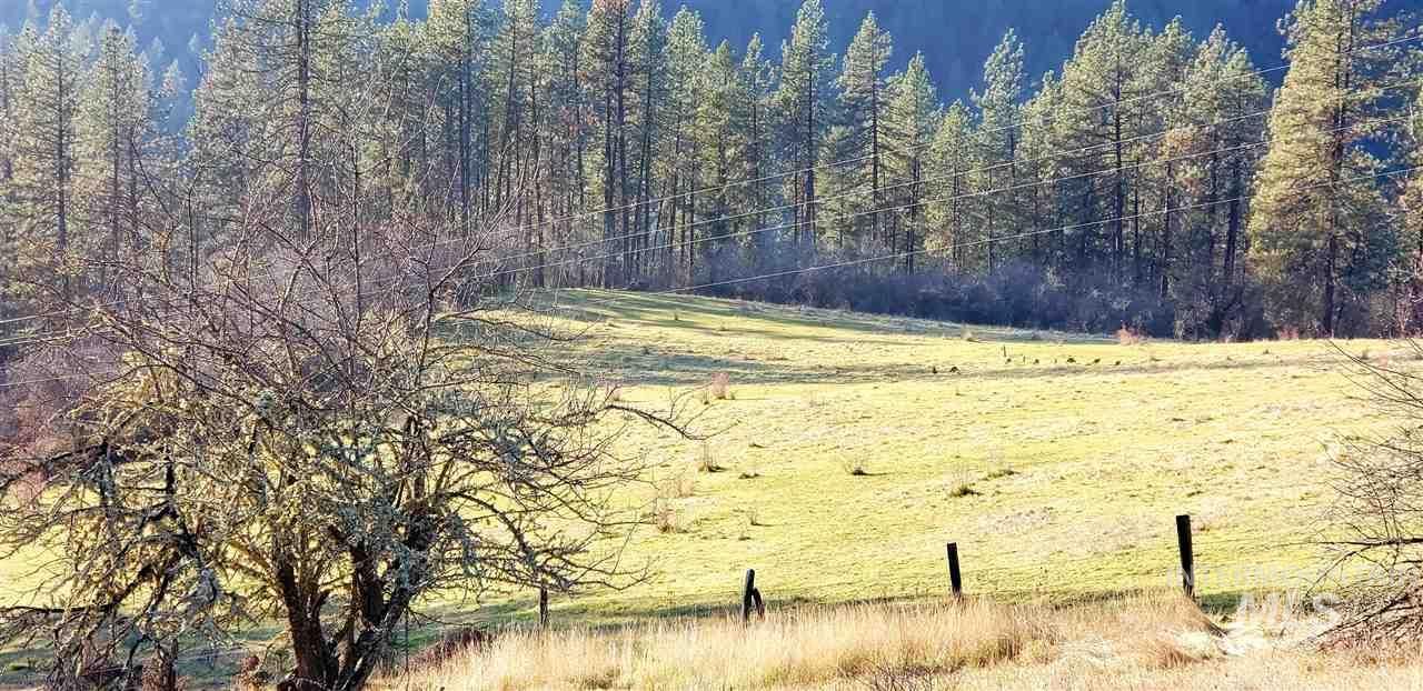 Harpster, Idaho County, ID Farms and Ranches for sale Property ID
