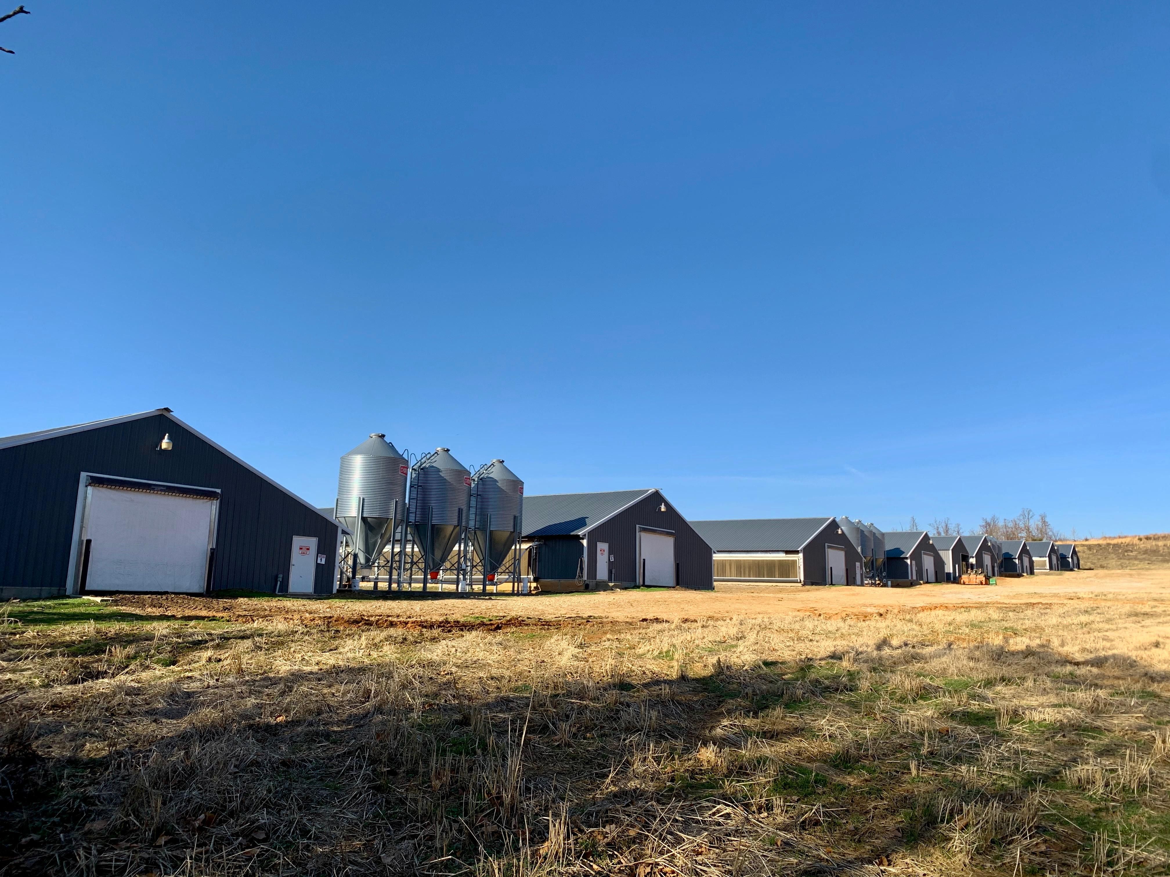 Hindsville, Madison County, AR Farms and Ranches, House for sale