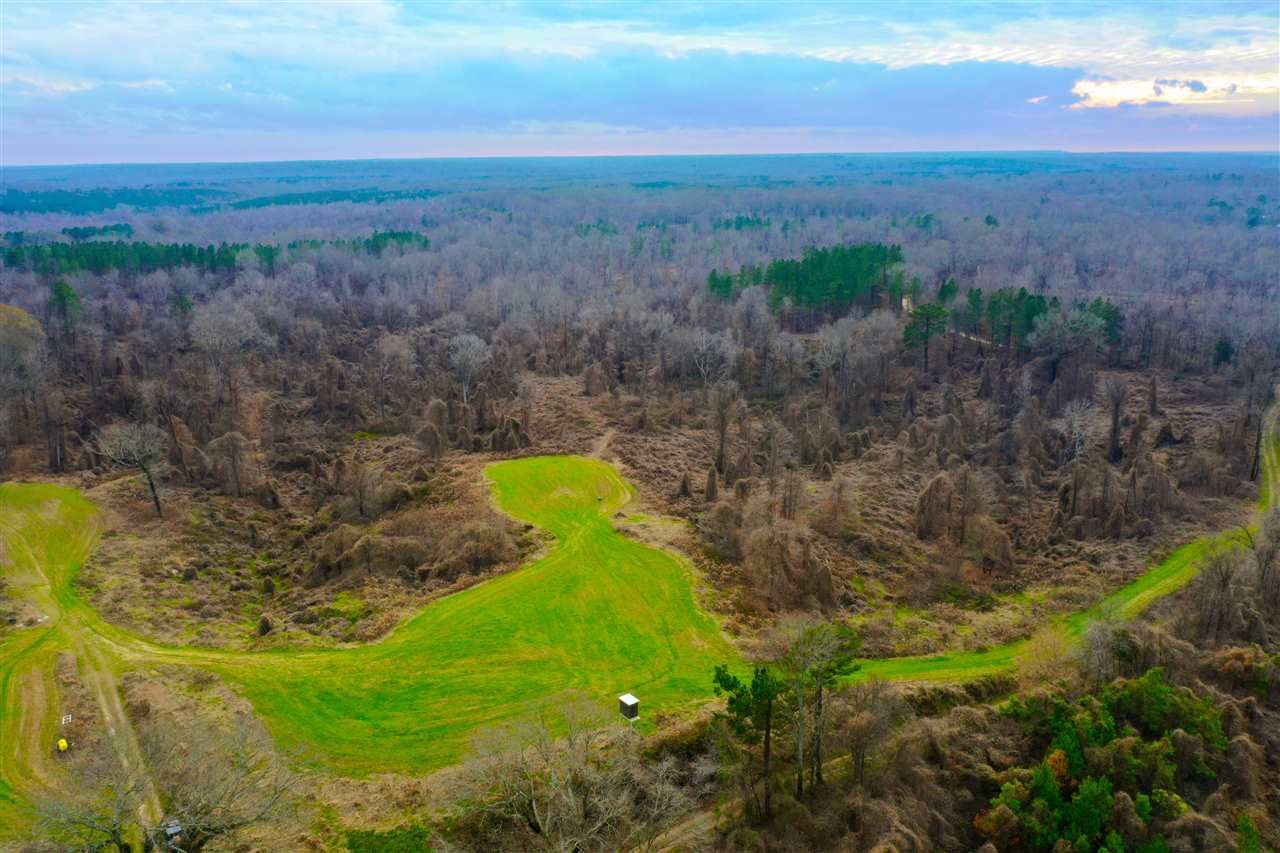 Yazoo City, Yazoo County, MS Undeveloped Land for sale Property ID