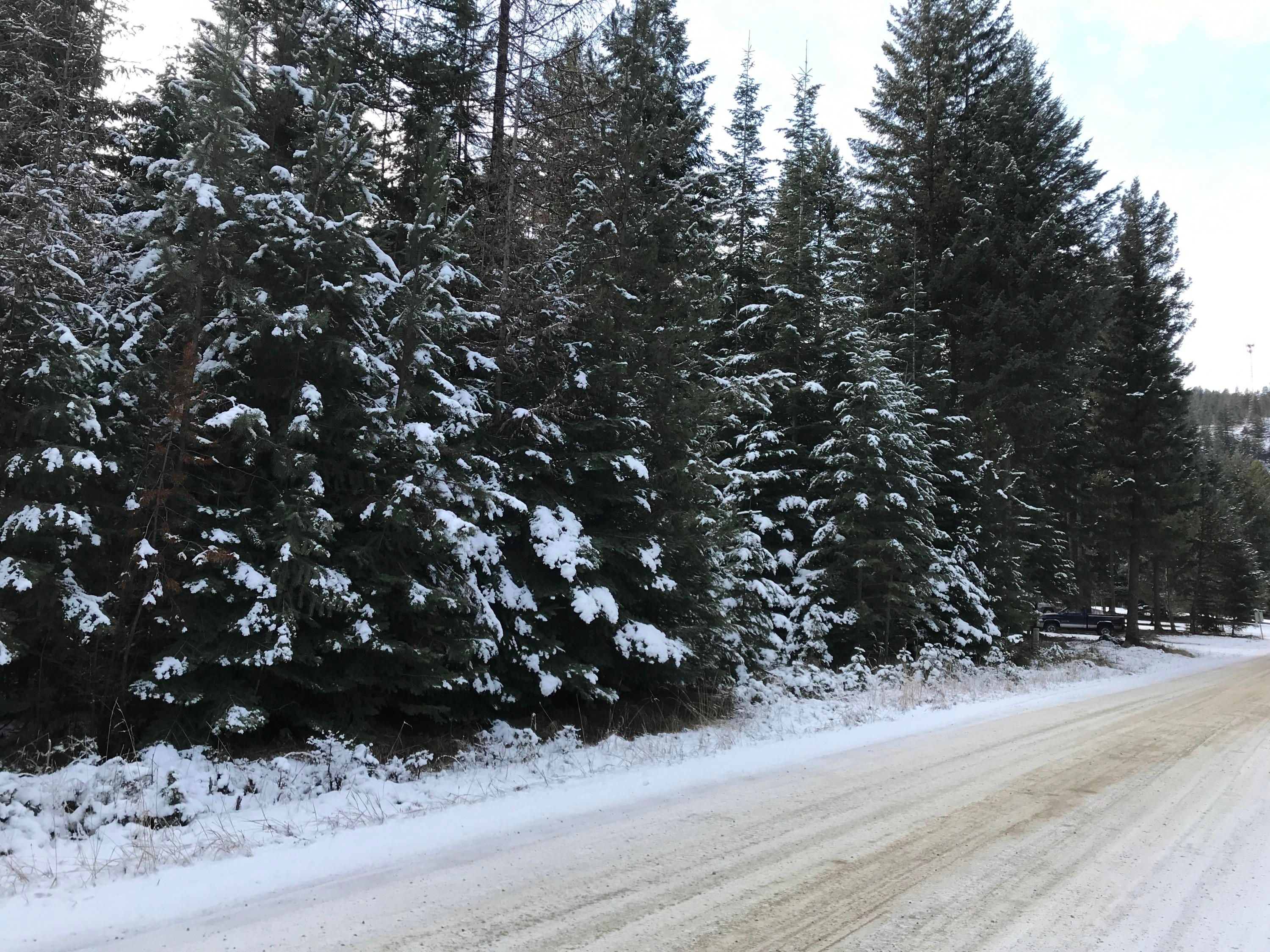 Thompson Falls, Sanders County, MT Undeveloped Land, Homesites for sale