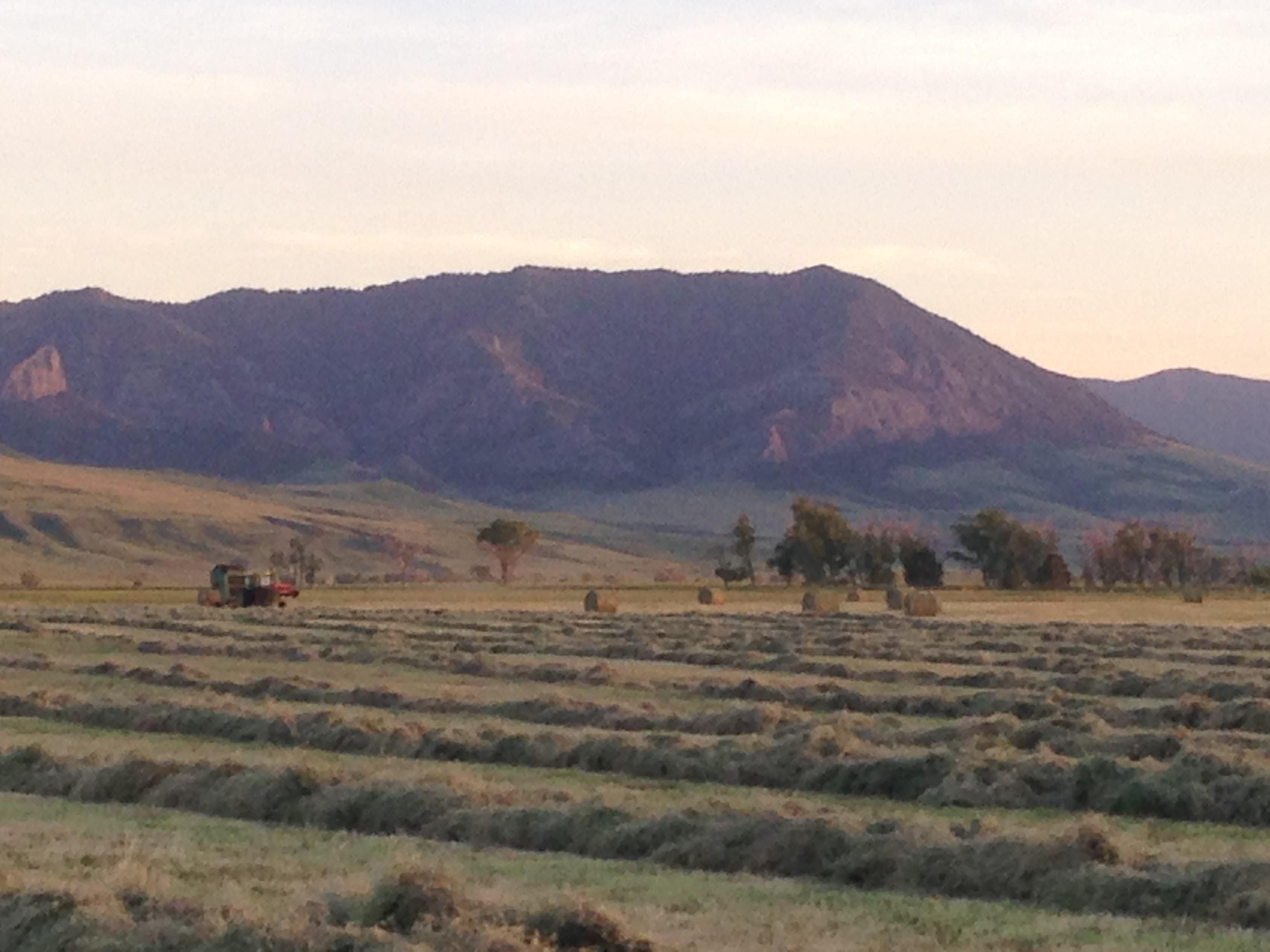 Cascade, Cascade County, MT Farms and Ranches, Undeveloped Land for