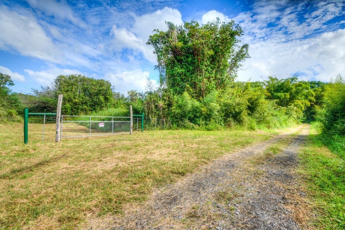 Kurtistown, Hawaii County, HI Undeveloped Land for sale Property ID