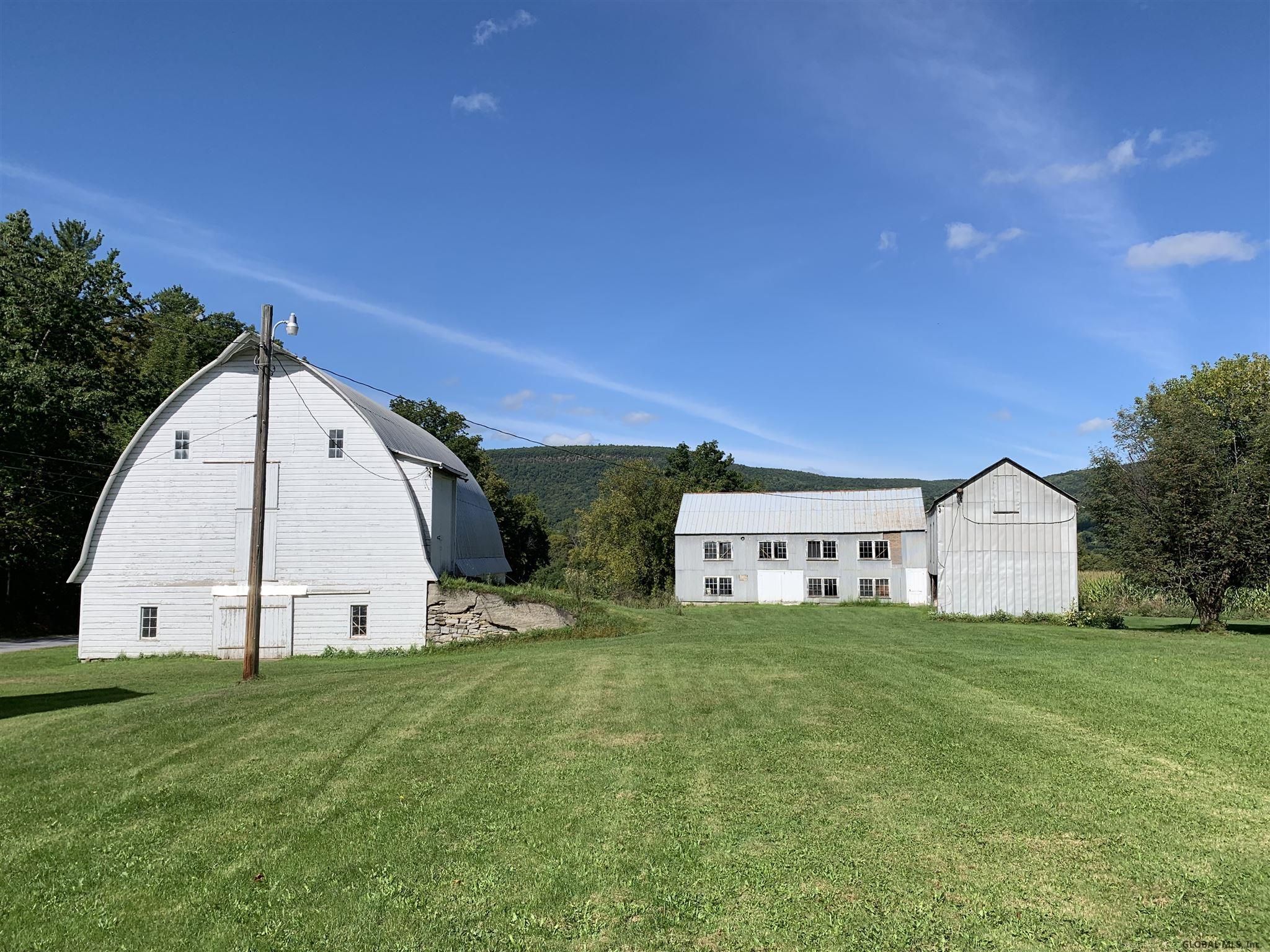 Schoharie, Schoharie County, NY House for sale Property ID 336946224