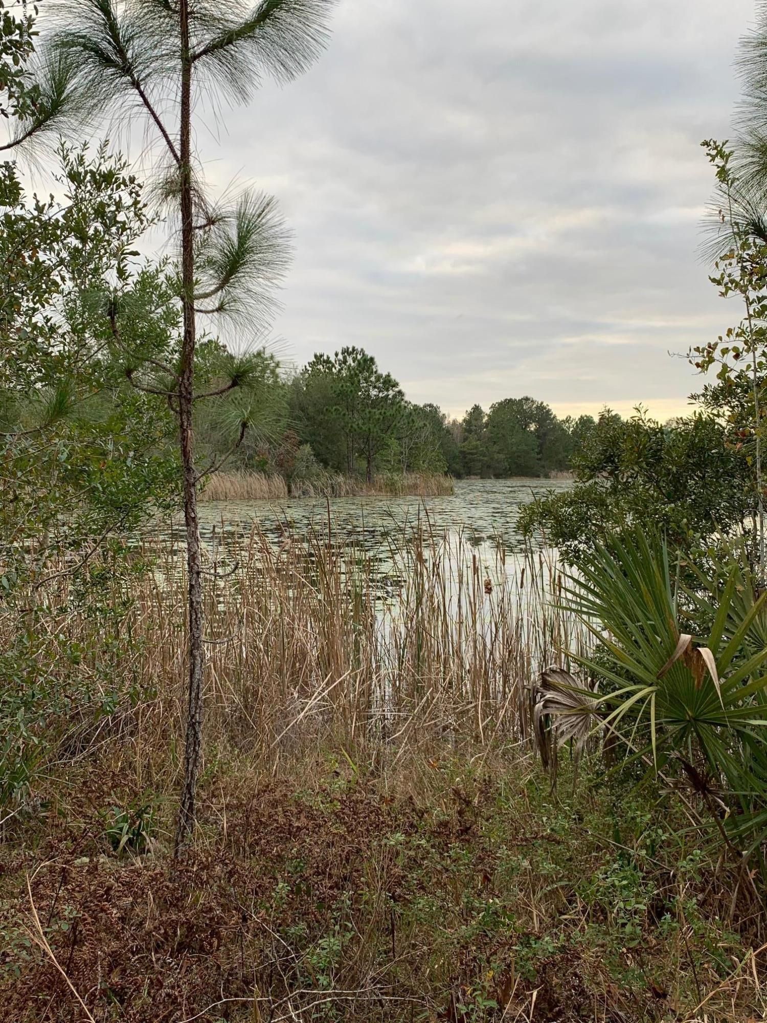Interlachen, Putnam County, FL Undeveloped Land, Lakefront Property