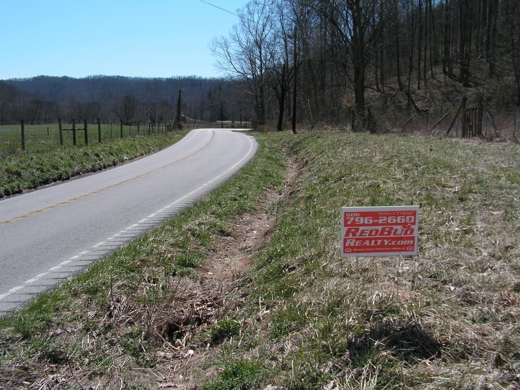 Vanceburg, Lewis County, KY Undeveloped Land for sale Property ID