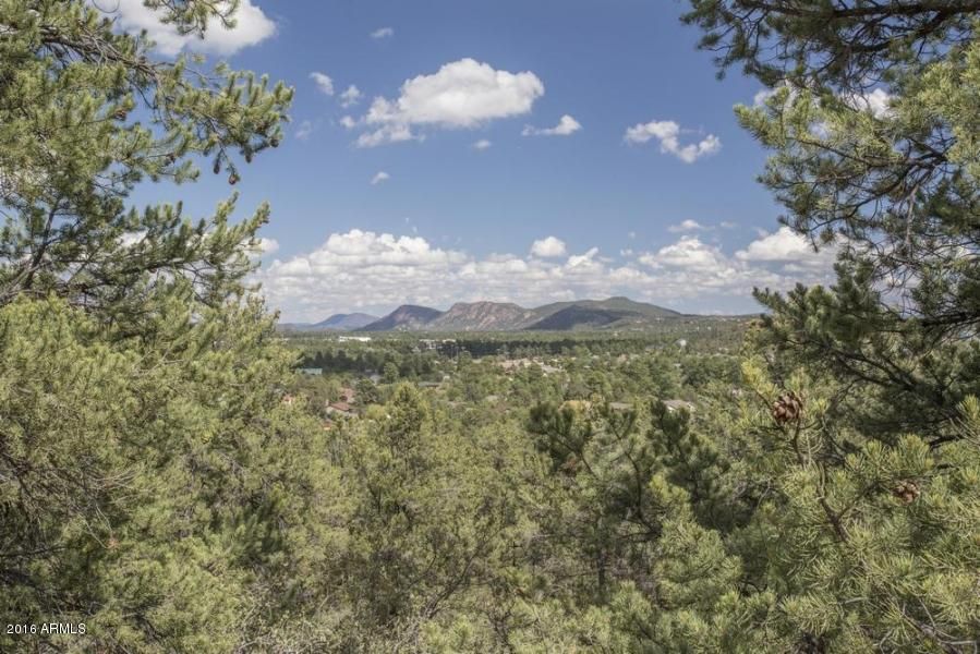 Payson, Gila County, AZ Undeveloped Land for sale Property ID